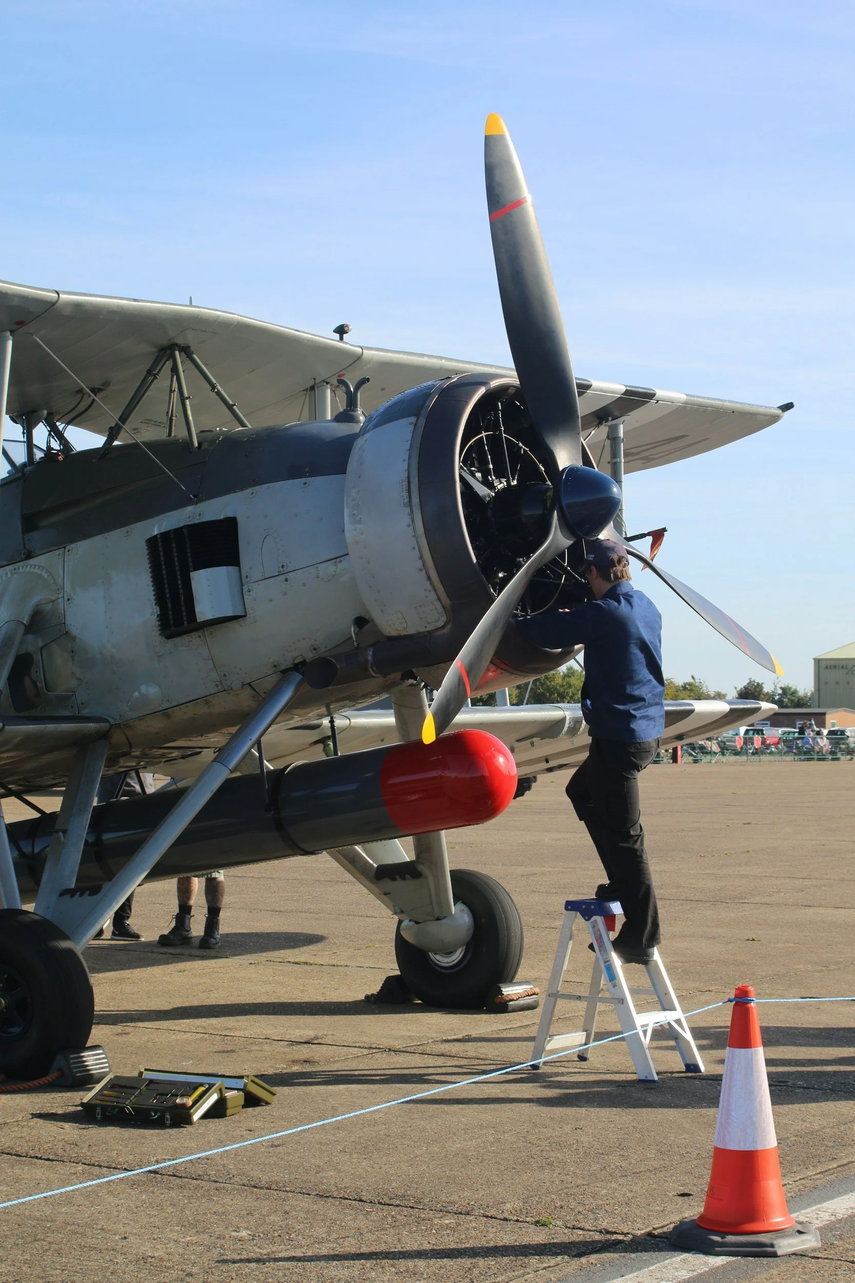 Puget Sound Aircraft Detailing | 425-414-4492