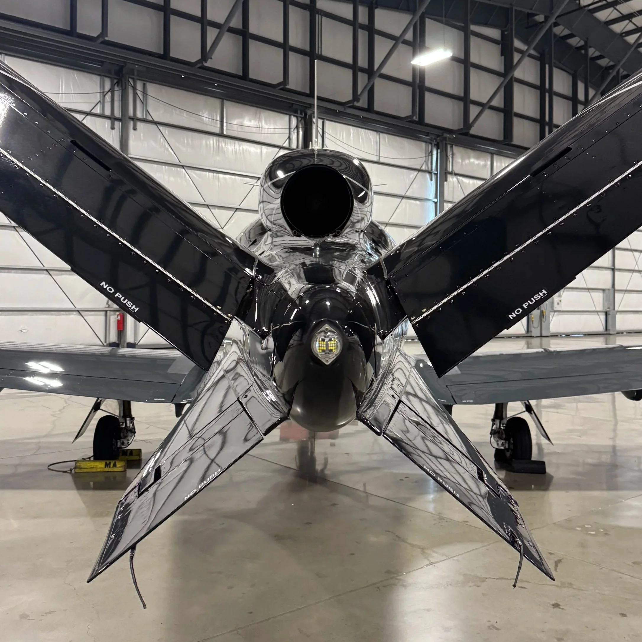 Nimbus Aircraft Detailing - Seattle project photo 4