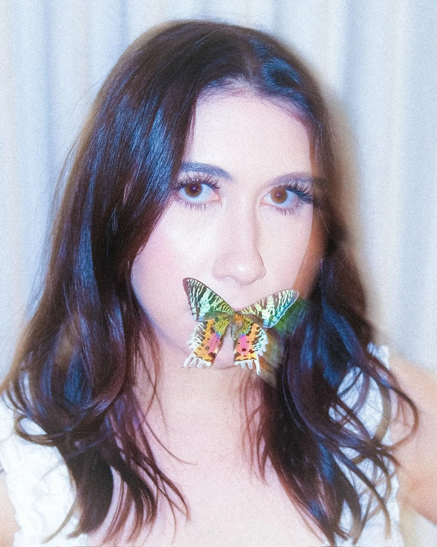 butterfly2.jpg