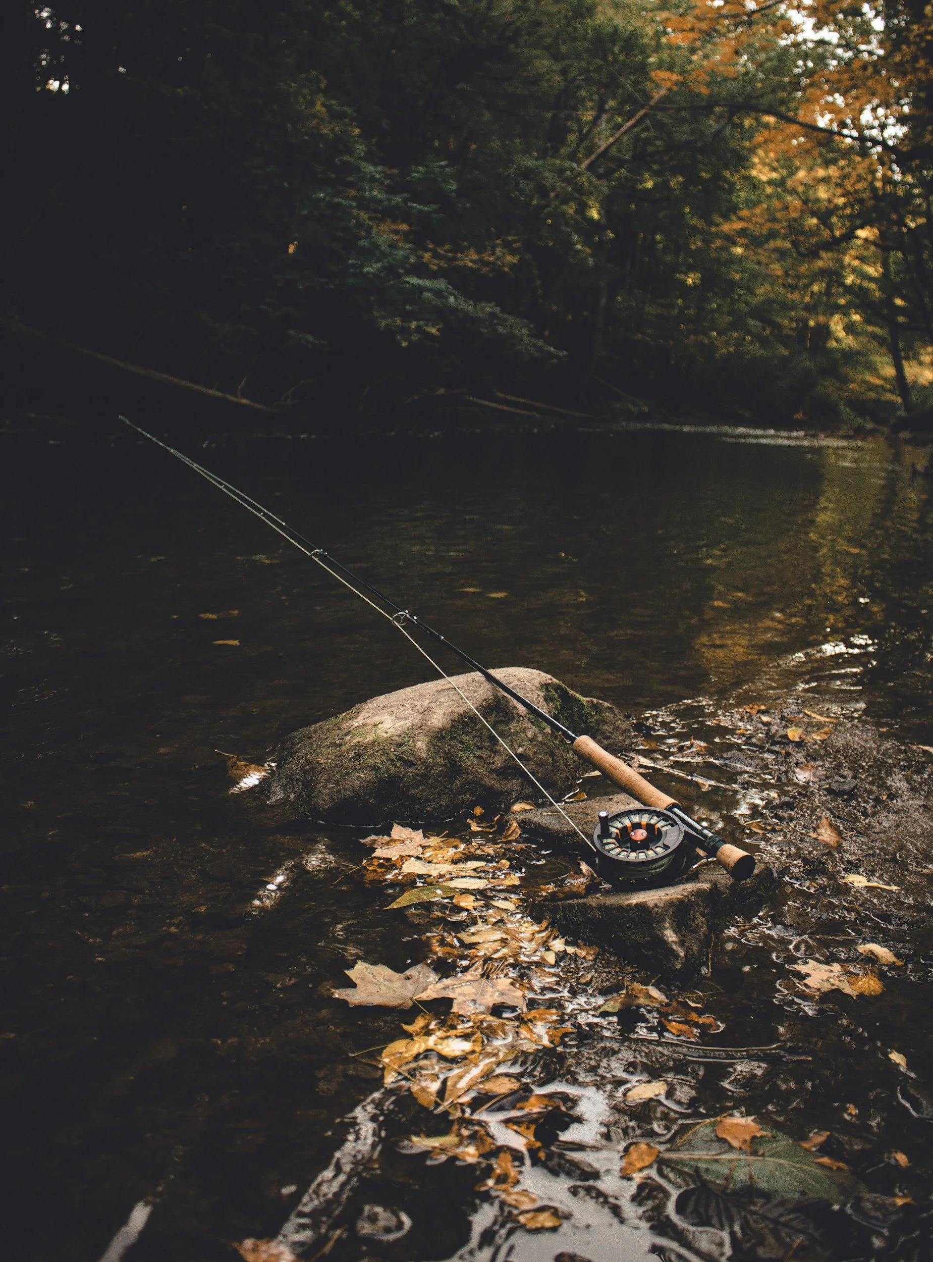 A fishing rod sits propped on a rock over a stream. A few scattered leaves float in the water, dropped by trees shading the area.