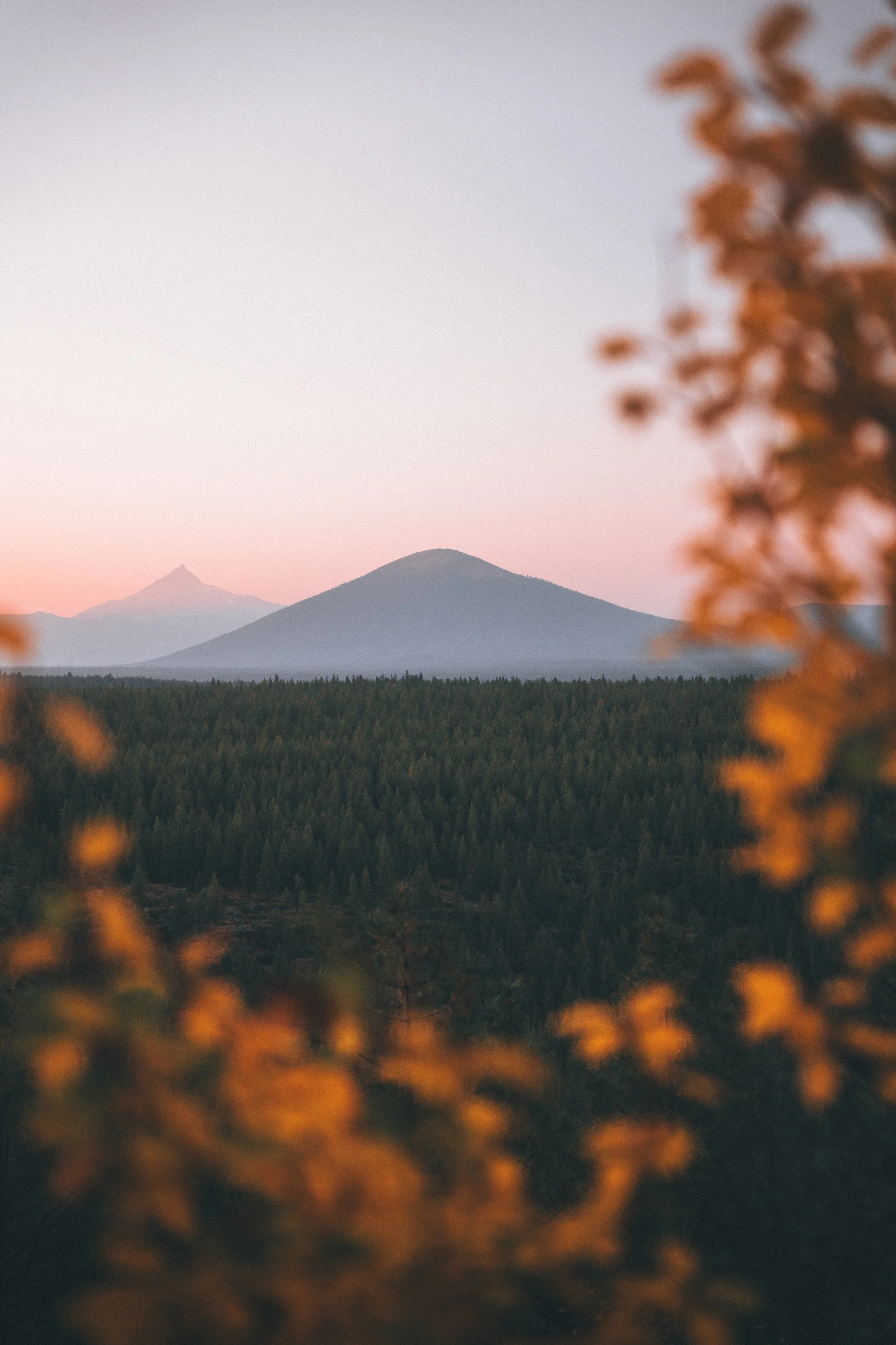 My favorite.jpg