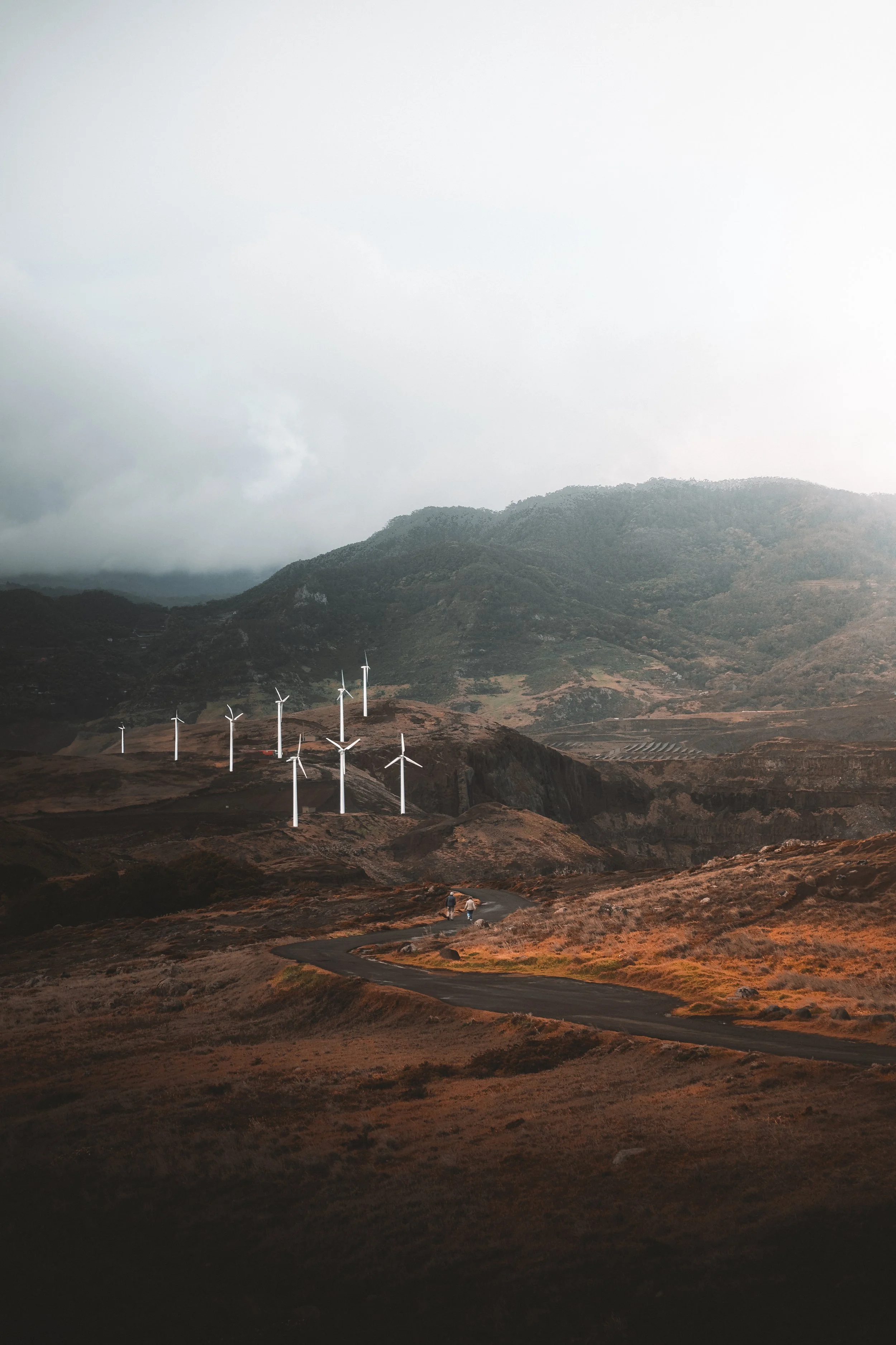 windmills desat.jpg