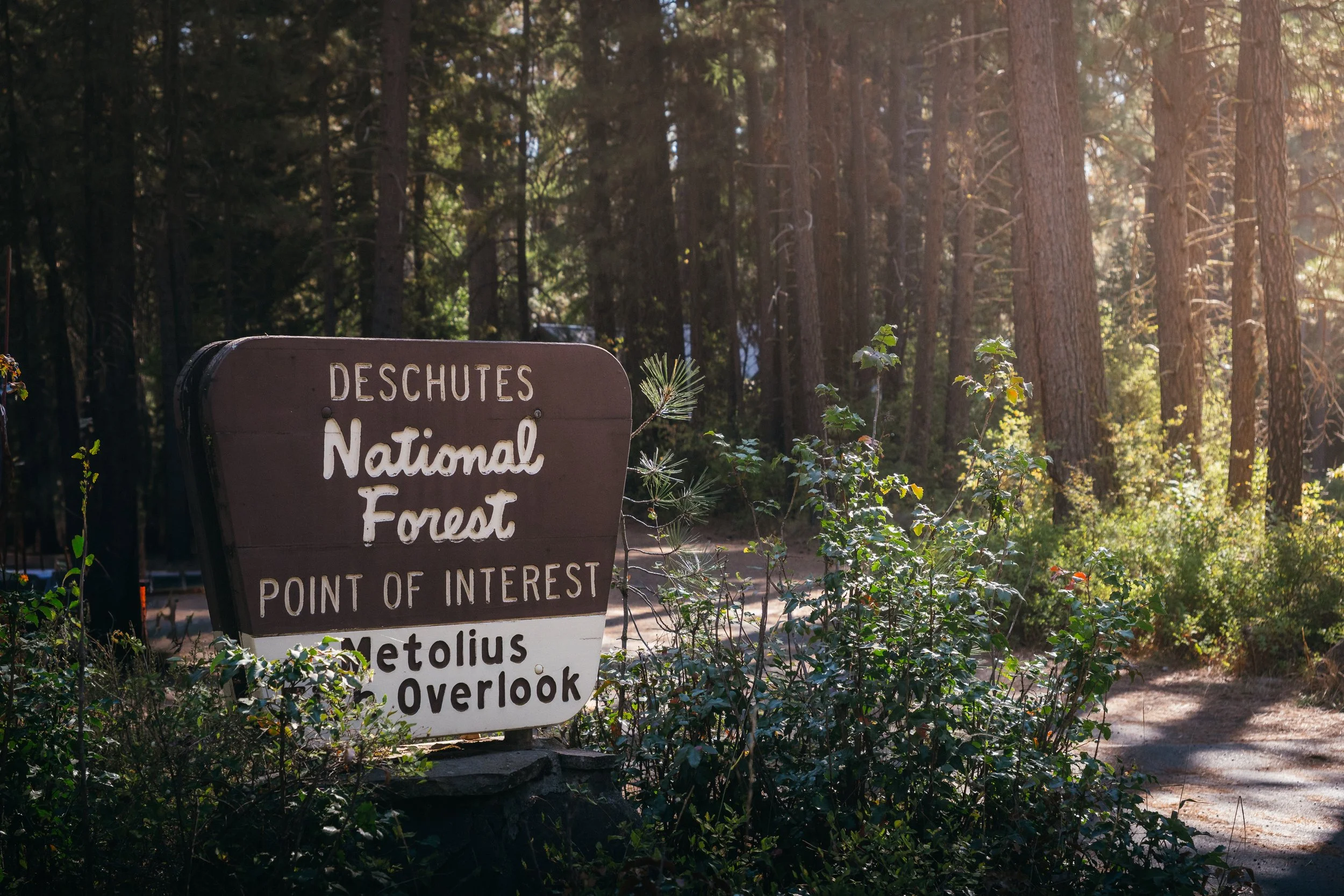 National forest sign Horizontal.jpg