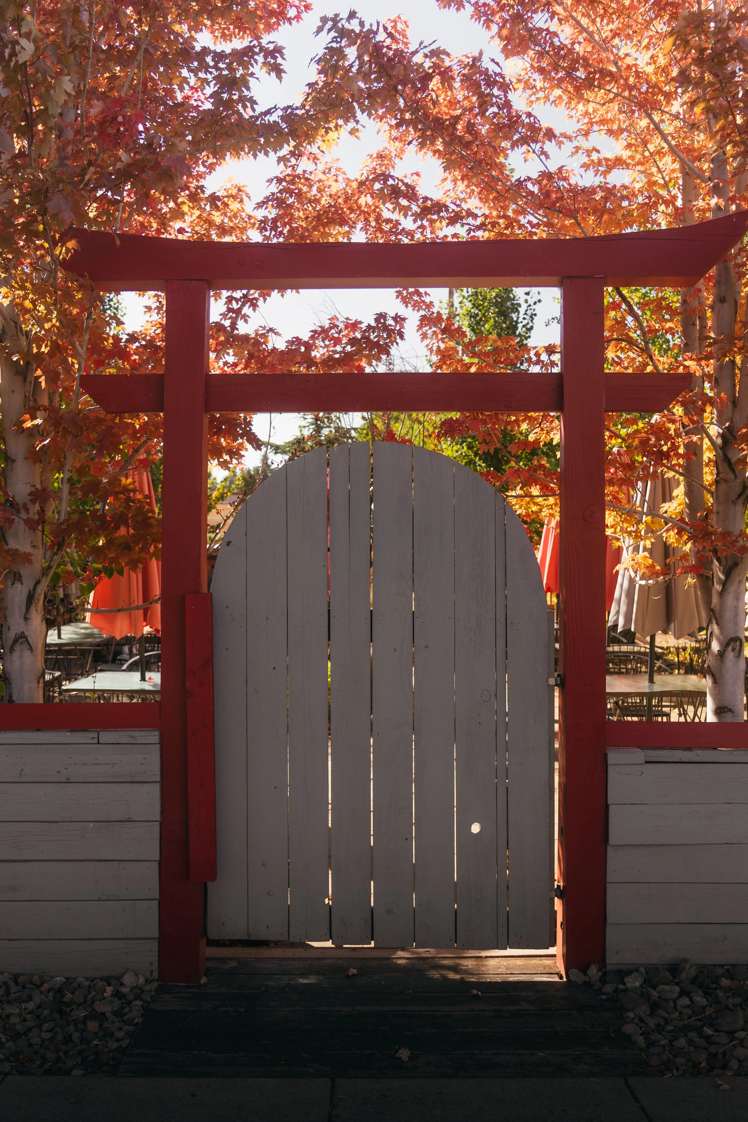 Autumn Door 2.jpg