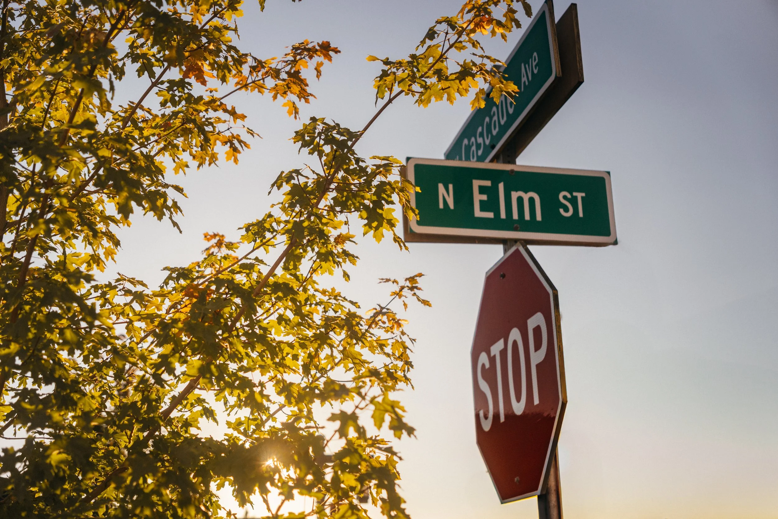 Stop Sign_.jpg