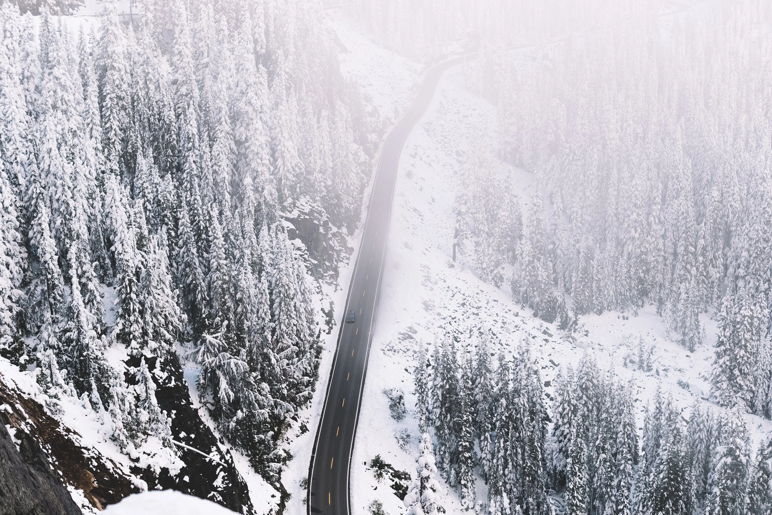 A winding road through a snow-covered forest with tall pine trees.