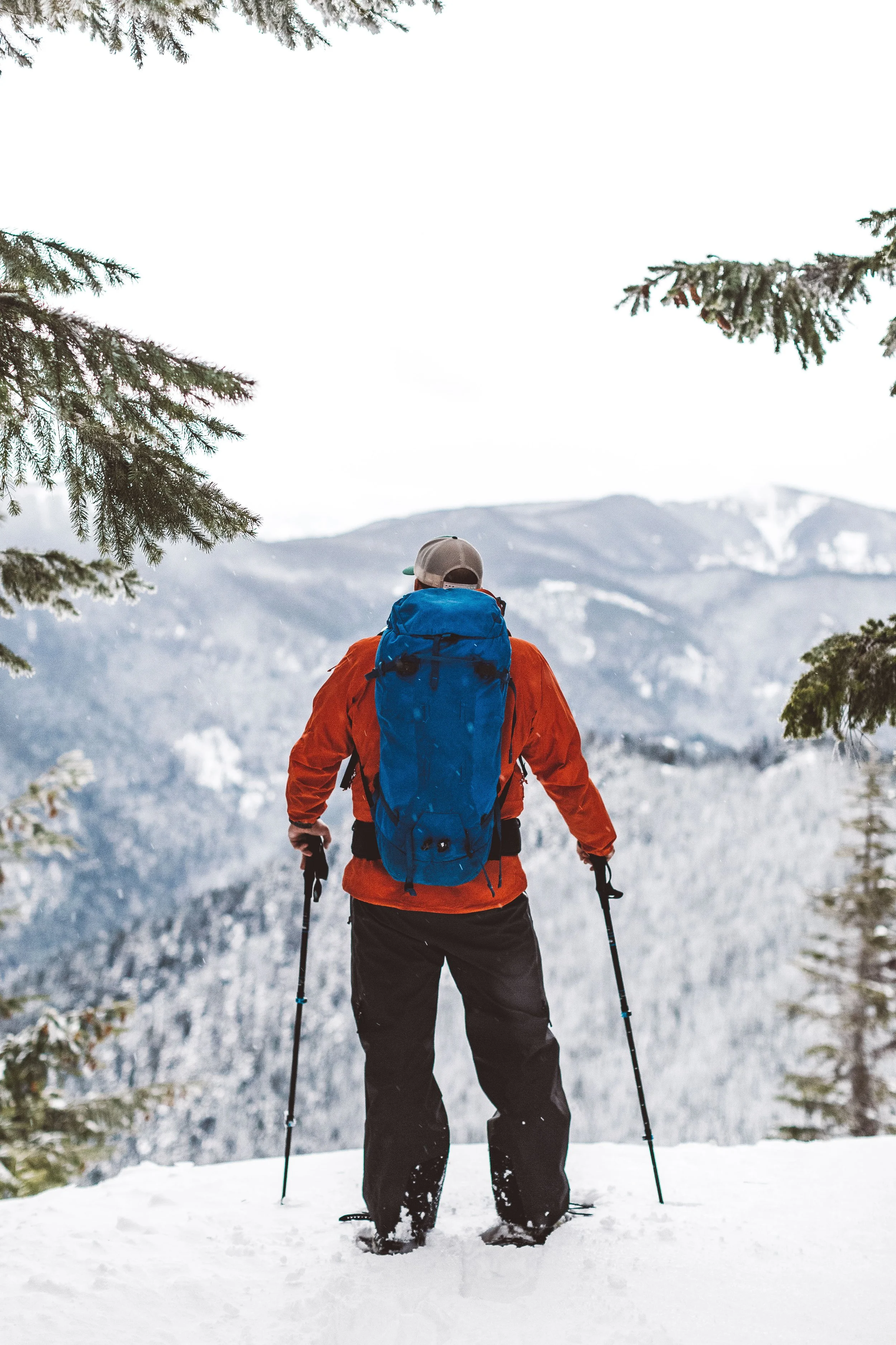 A person dressed in winter clothing, carrying a backpack, and using walking poles, stands in snow with a mountain range in the background, framed by snow-covered tree branches.