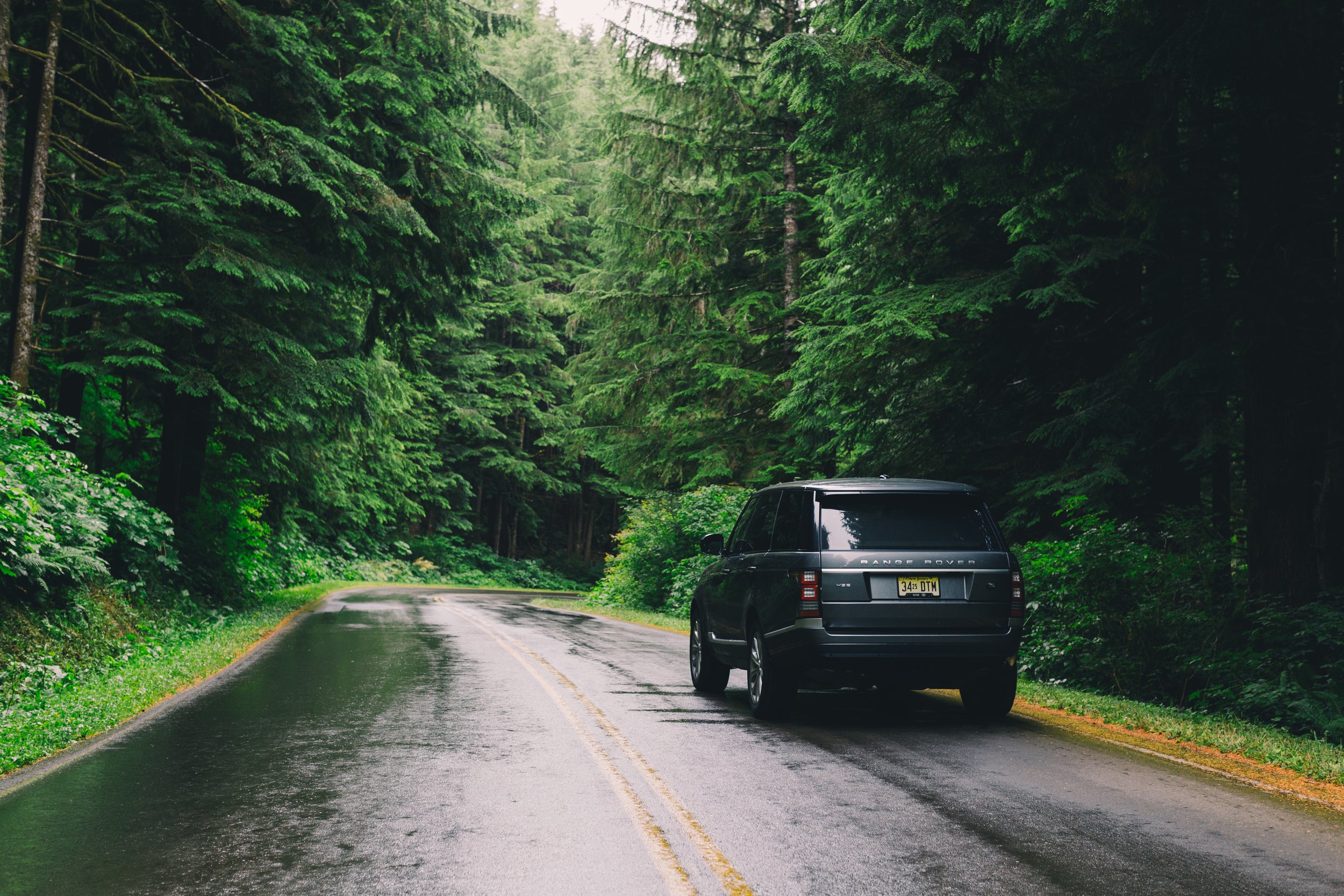 A black Range Rover parked on the side of a wet road surrounded by tall, dense green trees in a forest setting.