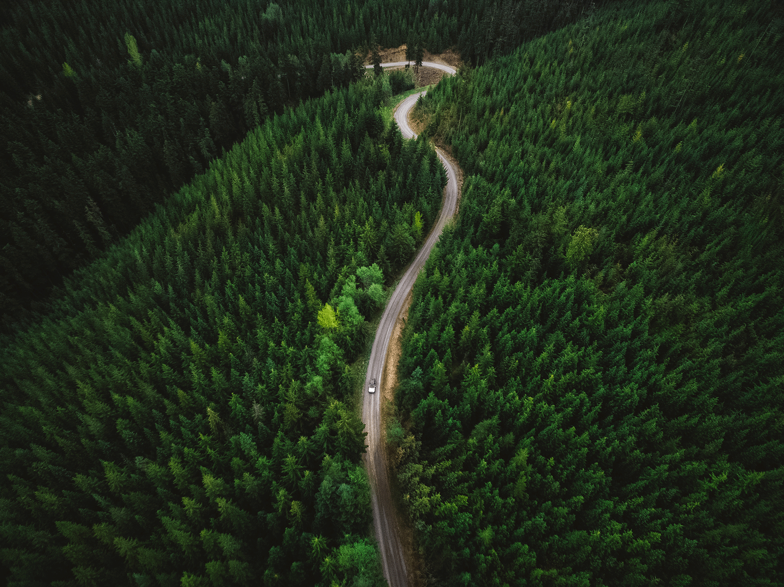 Aerial view of a winding road through dense evergreen forest.