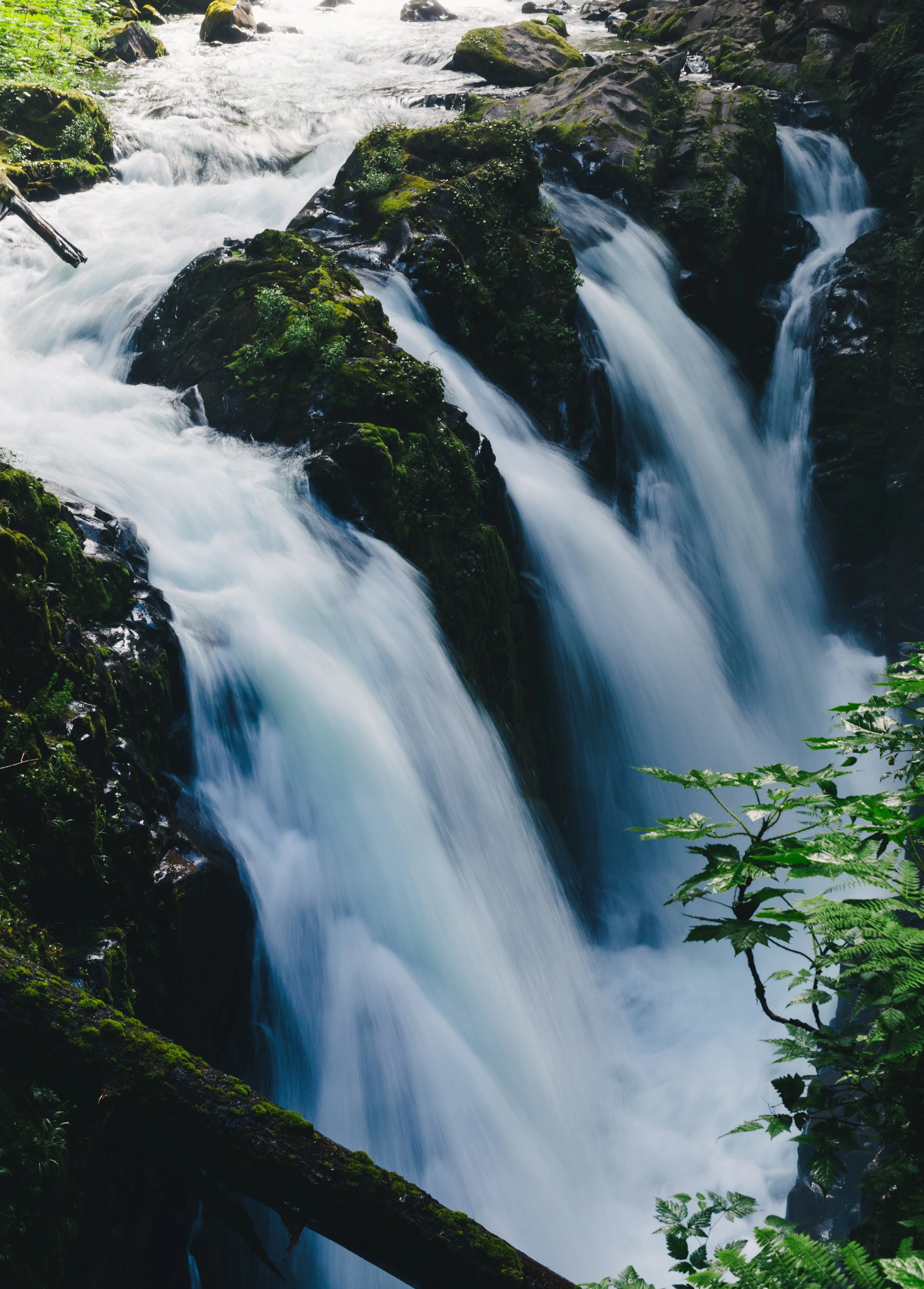 A cascading waterfall flowing over rocks covered with green moss in a forested area with trees and plants surrounding the scene.