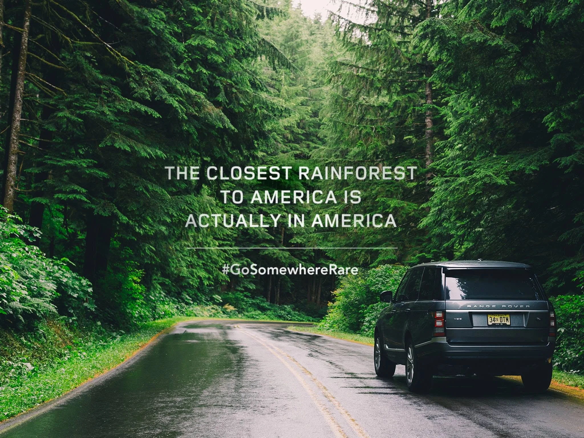 A scenic forest road surrounded by tall, dense green trees, with a Range Rover parked on the right side, and a sign indicating the car's license plate from New York.
