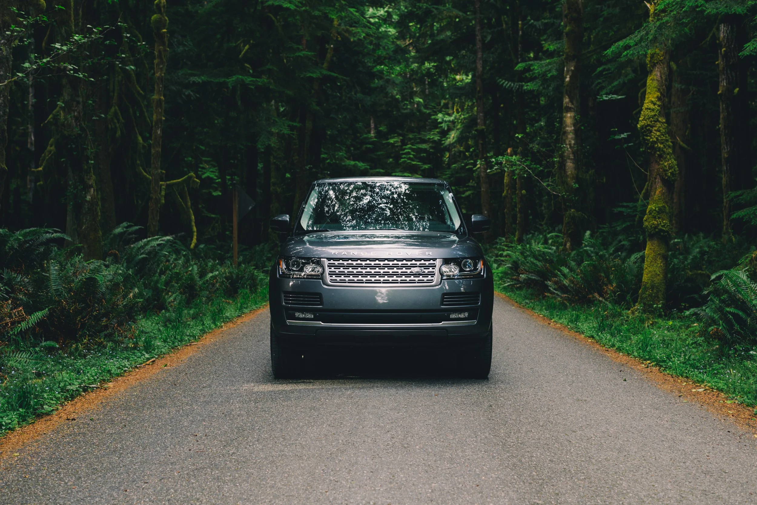 Black Range Rover parked on a narrow gravel road surrounded by dense green forest.