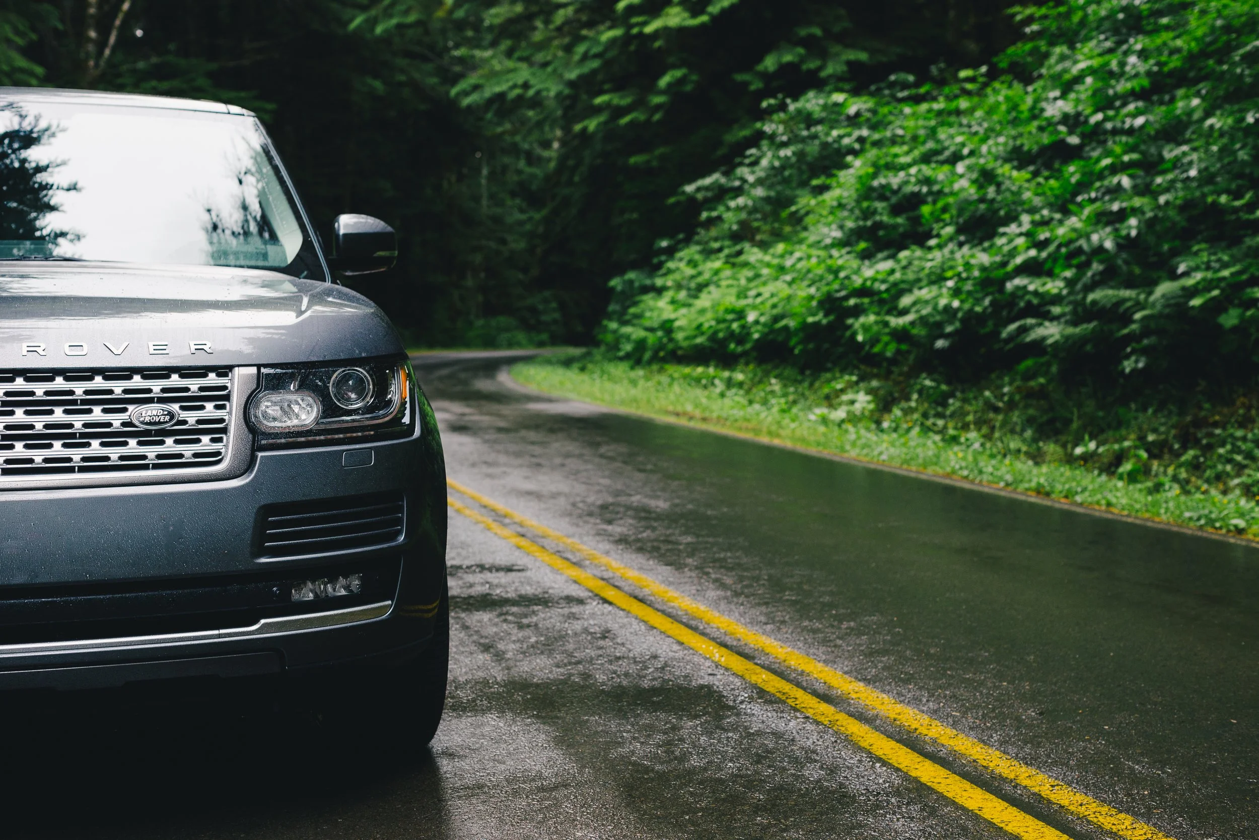 Close-up of the front left side of a gray Range Rover parked on a wet road surrounded by green trees.