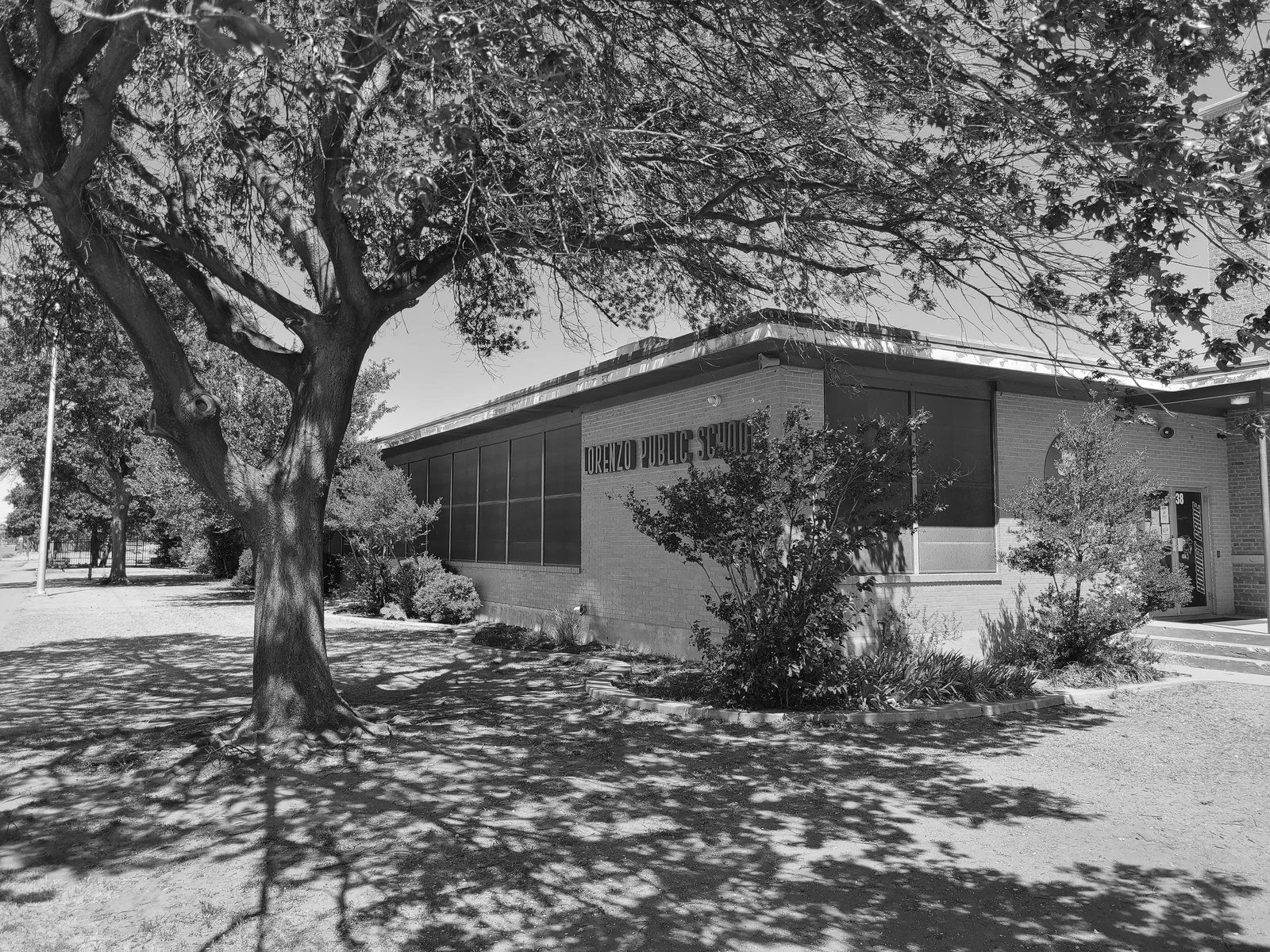 A black and white photo of Lorenzo Public School building surrounded by trees and bushes, with shadows cast on the ground.