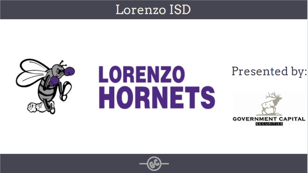 Football team logo for Lorenzo Hornets, featuring a cartoon hornet mascot wearing purple gloves and sneakers, with the team name in bold purple letters; presented by Government Capital Securities, Dallas, Texas.