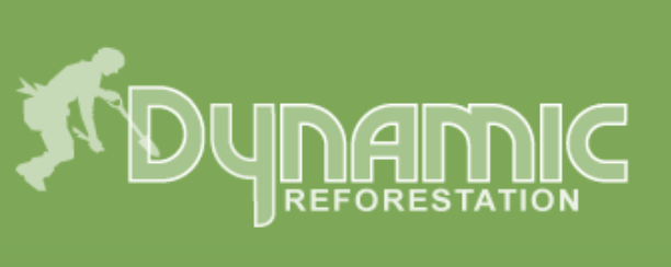 Logo for Dynamic Reforestation featuring a stylized person planting a seedling on a green background.
