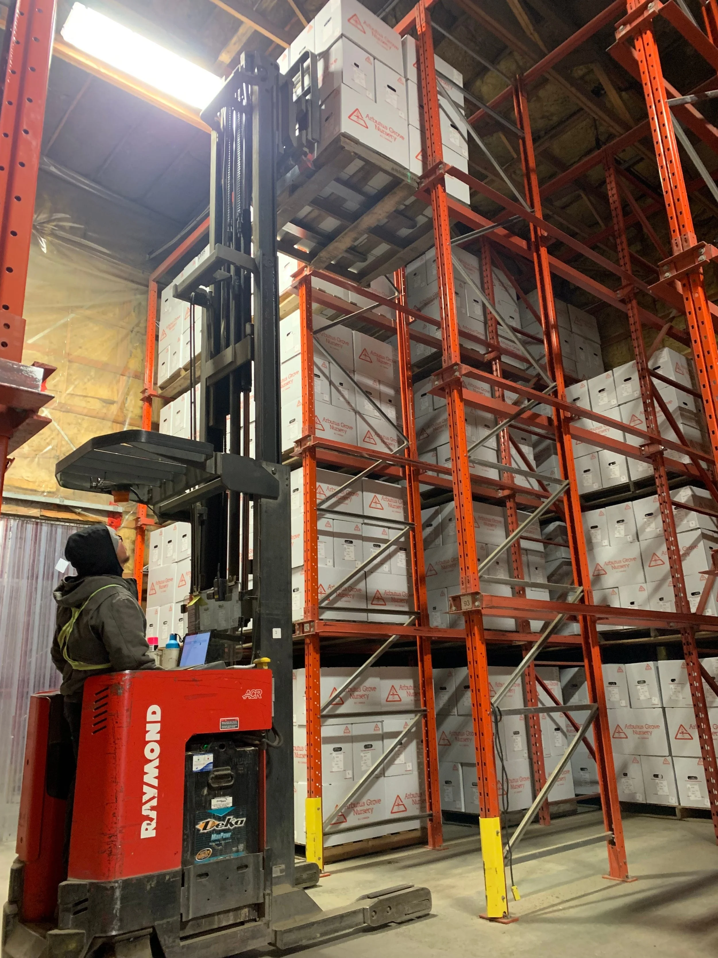 A person operating a red Raymond forklift in a warehouse with shelves of boxes labeled "Artubus Grove Nursery." The forklift is lifting pallets loaded with boxes onto a high orange metal rack.