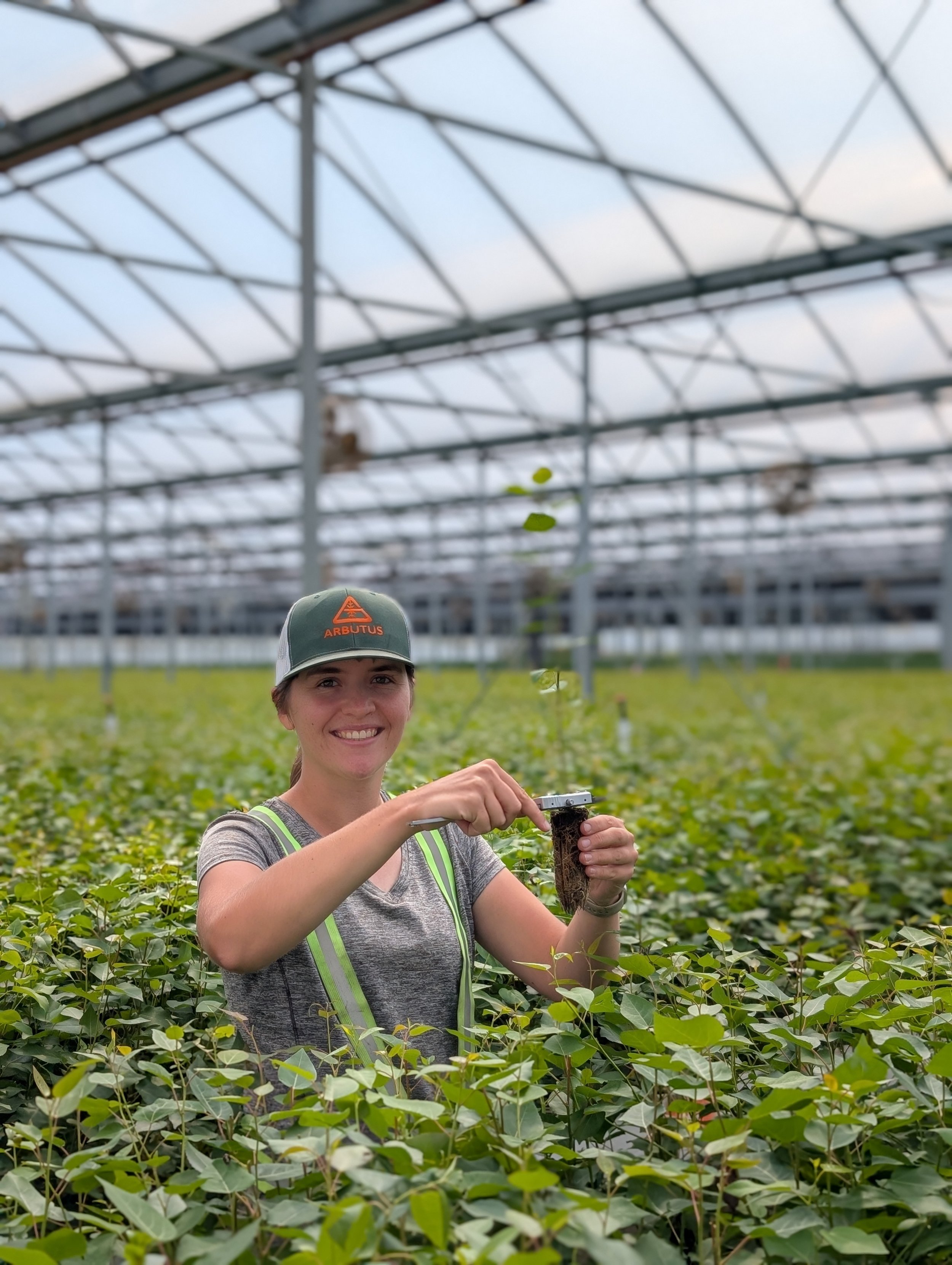 A woman wearing a gray shirt, safety vest, and cap, smiling while holding a plant seedling in a greenhouse filled with green plants.