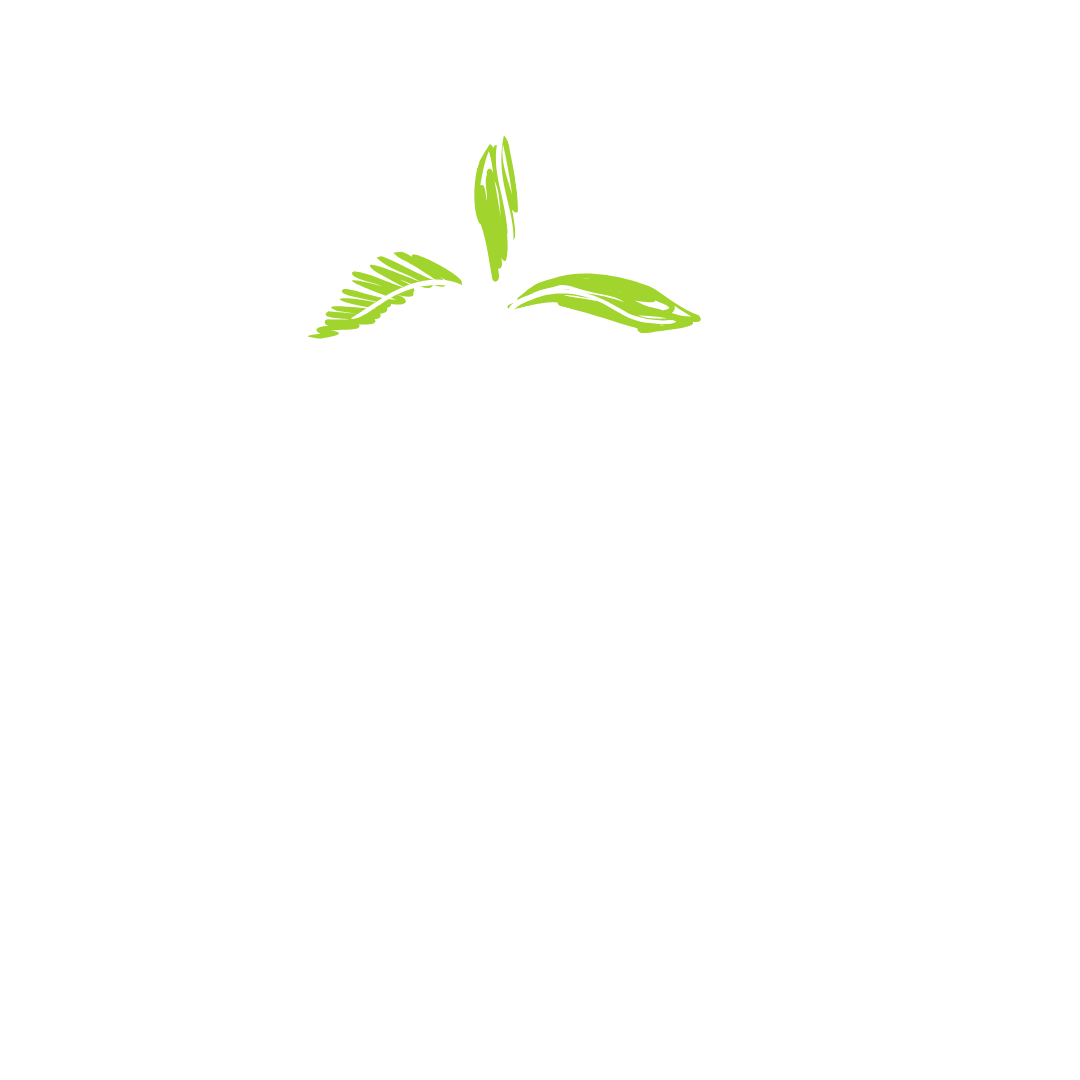 illustration of hands holding tree seedling