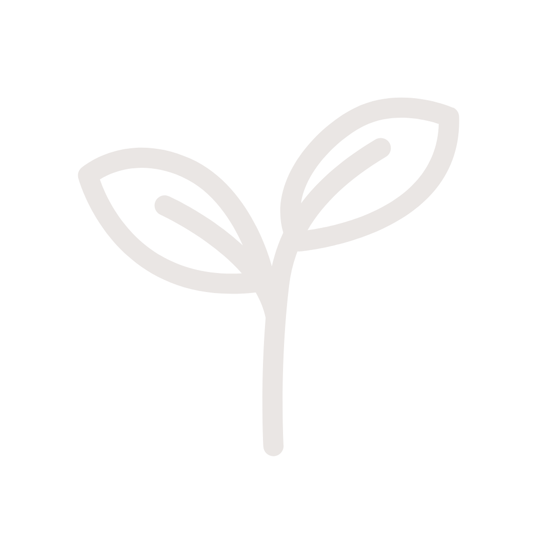 illustration of sprout