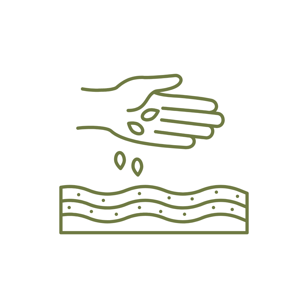 Illustration of hand sprinkling tree seeds onto ground.