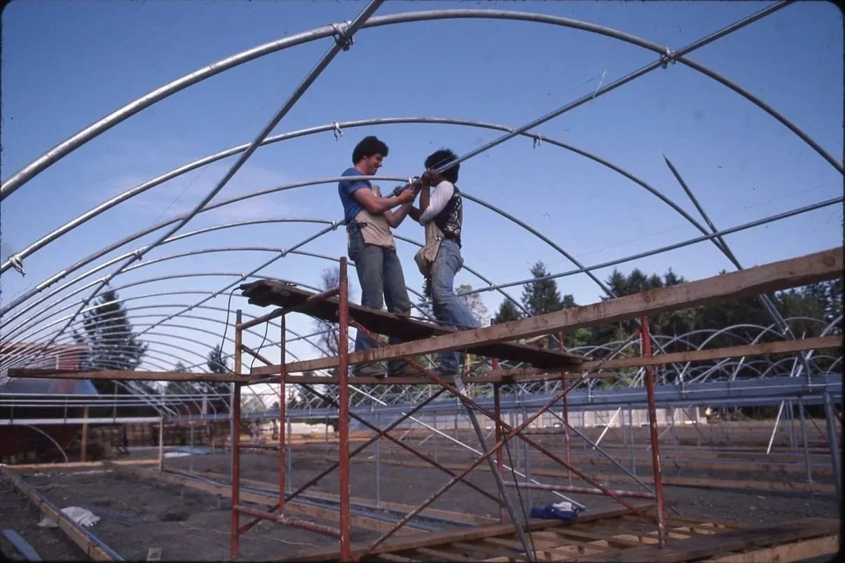 Two men putting up a greenhouse structure