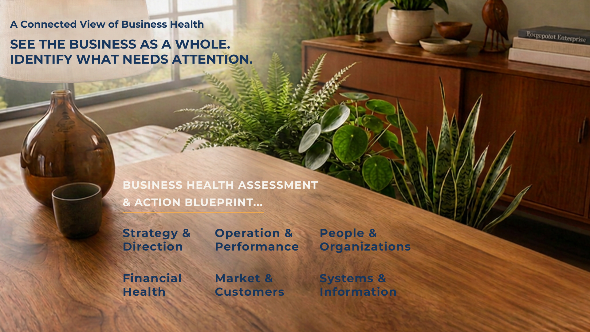 See the business as a whole. Identify what needs attention across strategy, operations, people, financial health, customers and systems.