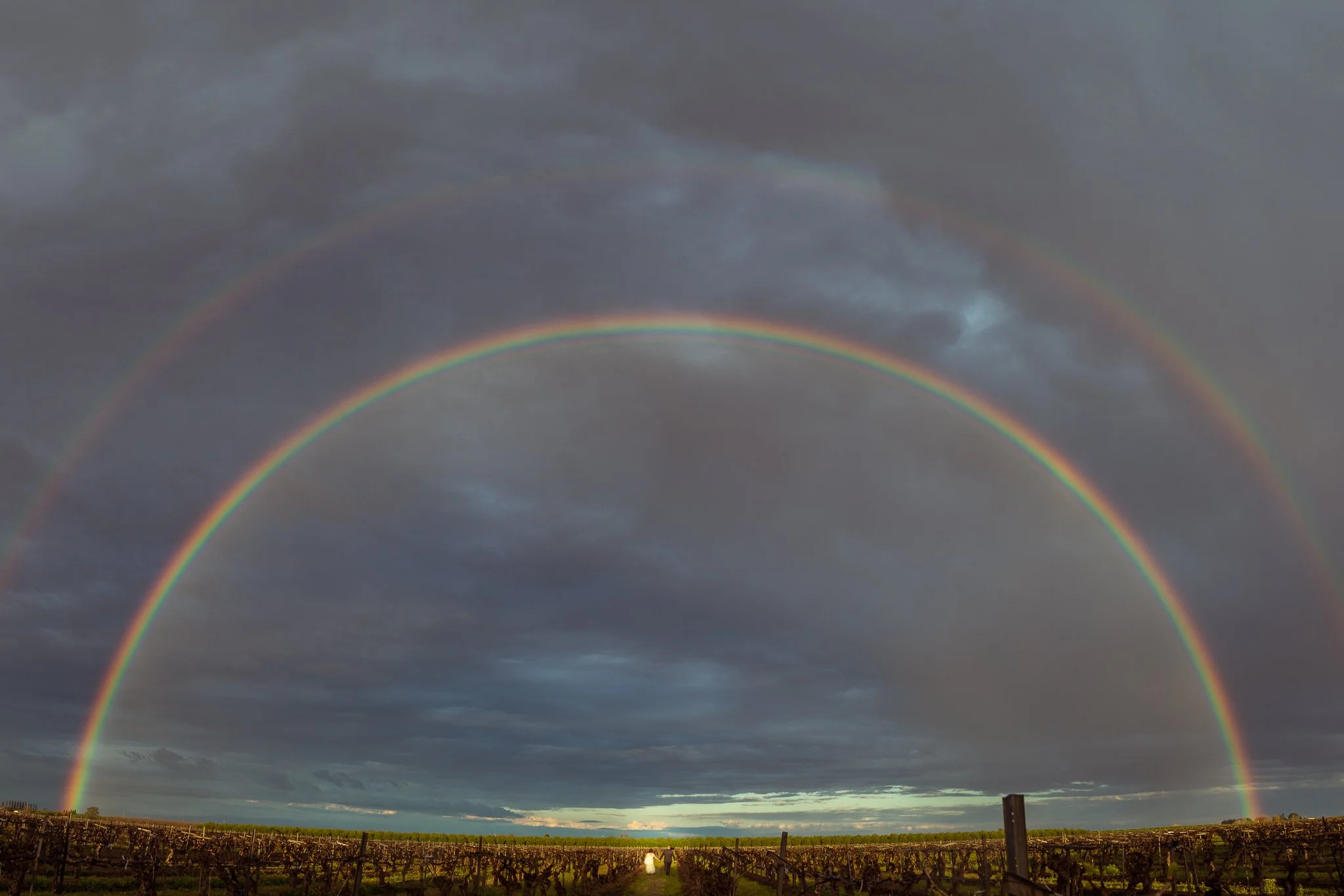 Double rainbow over a vineyard with cloudy sky and some sunlight near the horizon.