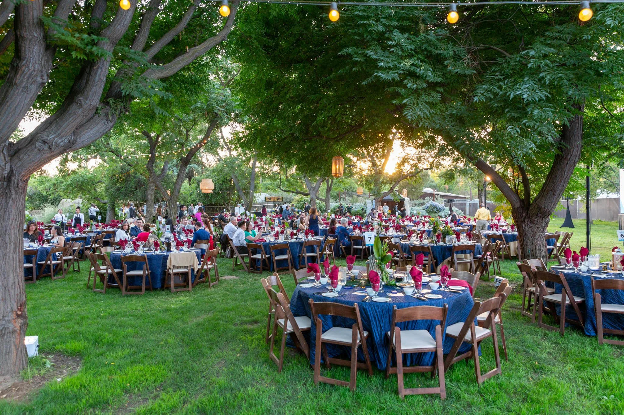 An outdoor celebration with round tables covered in navy blue tablecloths, decorated with pink napkins, floral centerpieces, and tableware, set in a lush garden with large trees and string lights hanging overhead during sunset.