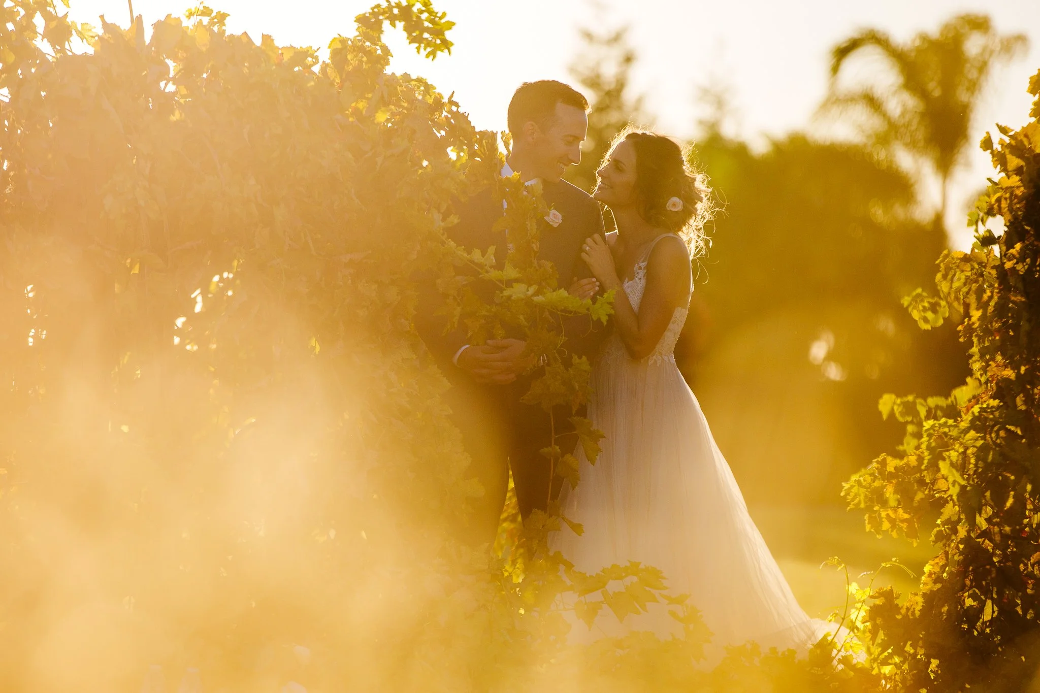 A newlywed couple standing close together in a vineyard during sunset, surrounded by lush vines and trees, with warm golden sunlight creating a romantic ambiance.
