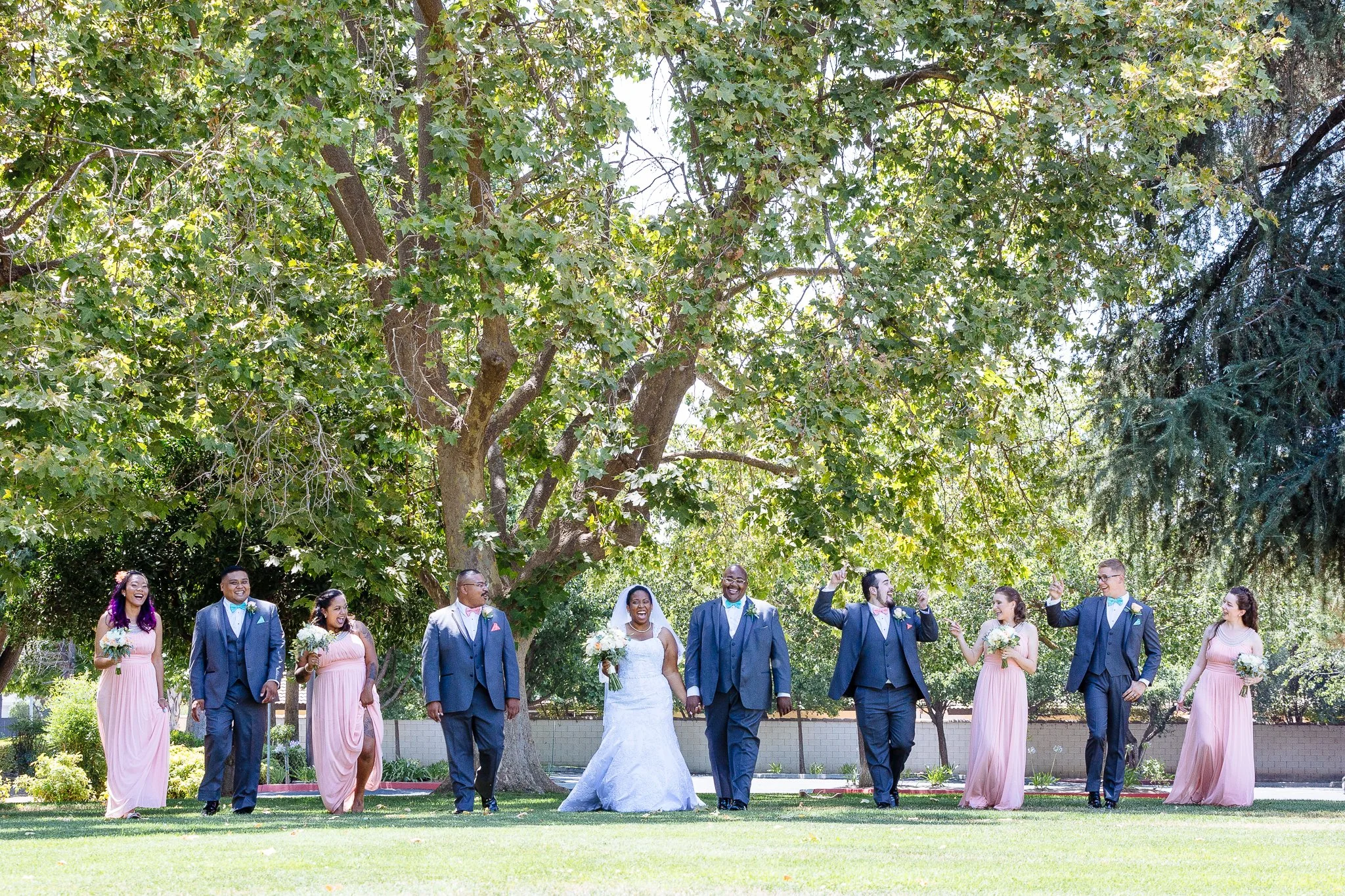 A wedding party posing outdoors under a large leafy tree. The bride and groom are in the center, holding hands. The bride is wearing a white dress and veil, and the groom is in a navy suit. Four bridesmaids in pink dresses and four groomsmen in navy 