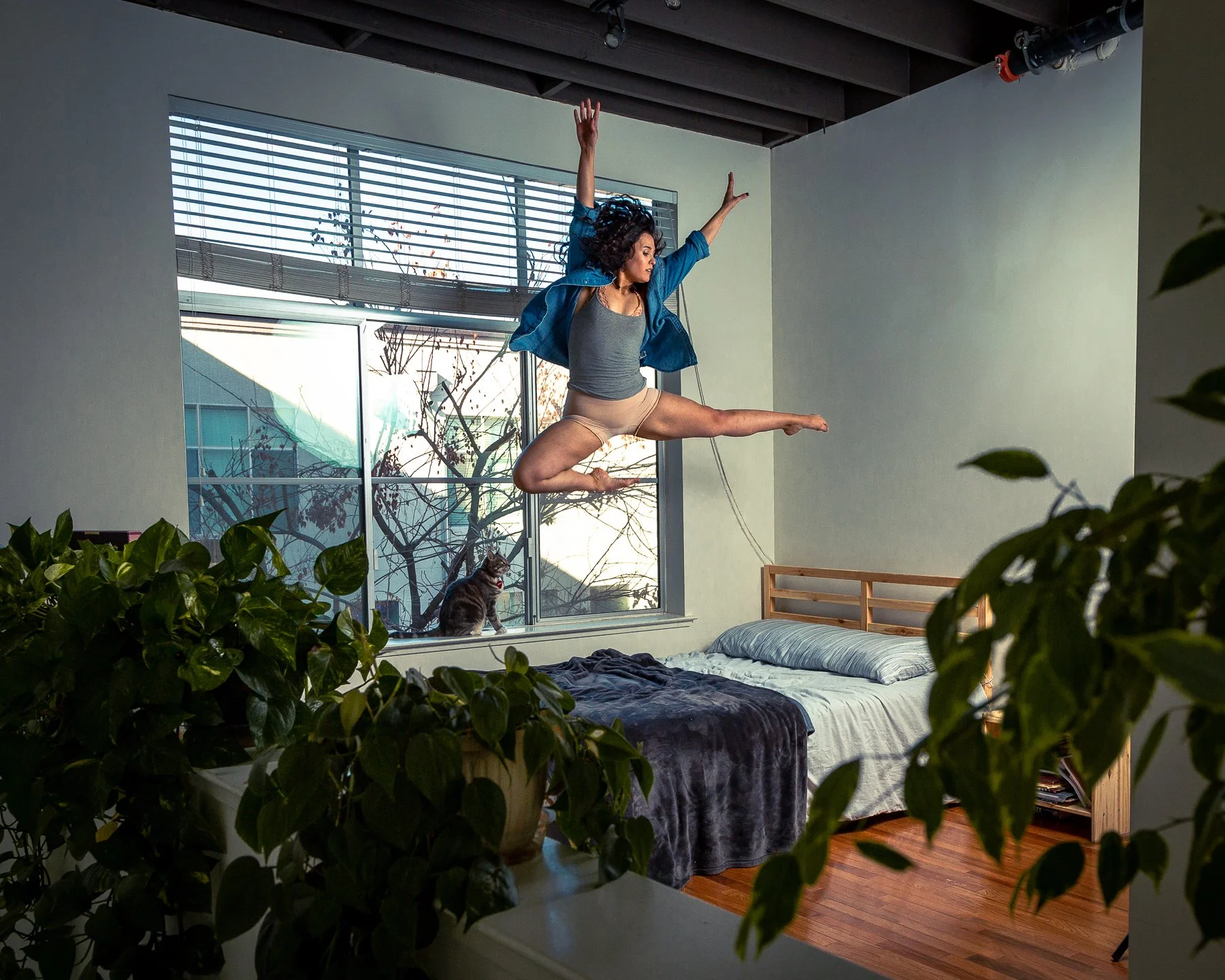 A woman is jumping on a bed in a bedroom, with her arms raised and legs extended. A cat is sitting on the windowsill outside the window, and there are green plants in the foreground.