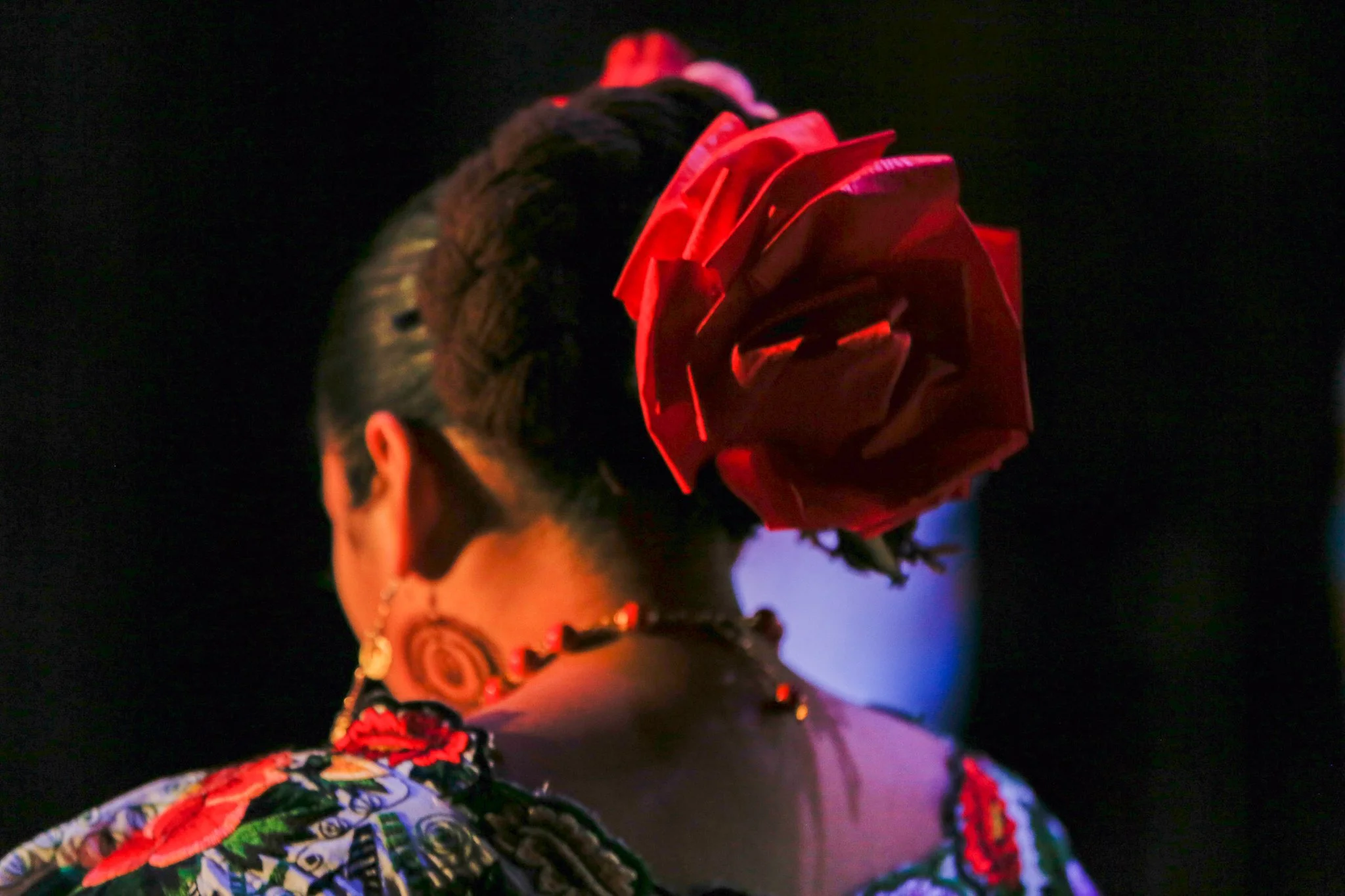 A woman with elaborate traditional attire and accessories, including a large red flower in her hair and colorful embroidered clothing, is shown from behind against a dark background.