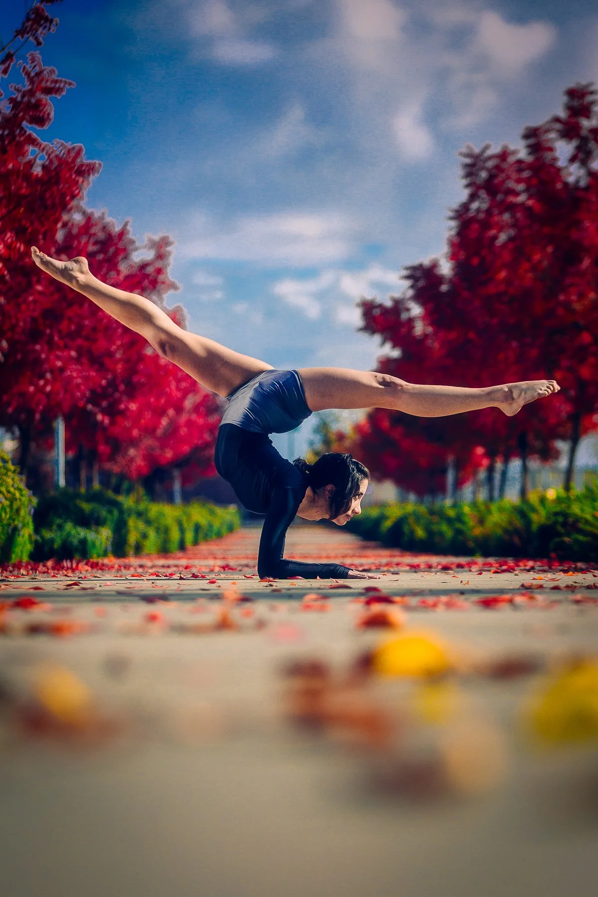 A woman doing a yoga handstand outdoors on a path lined with red autumn trees.