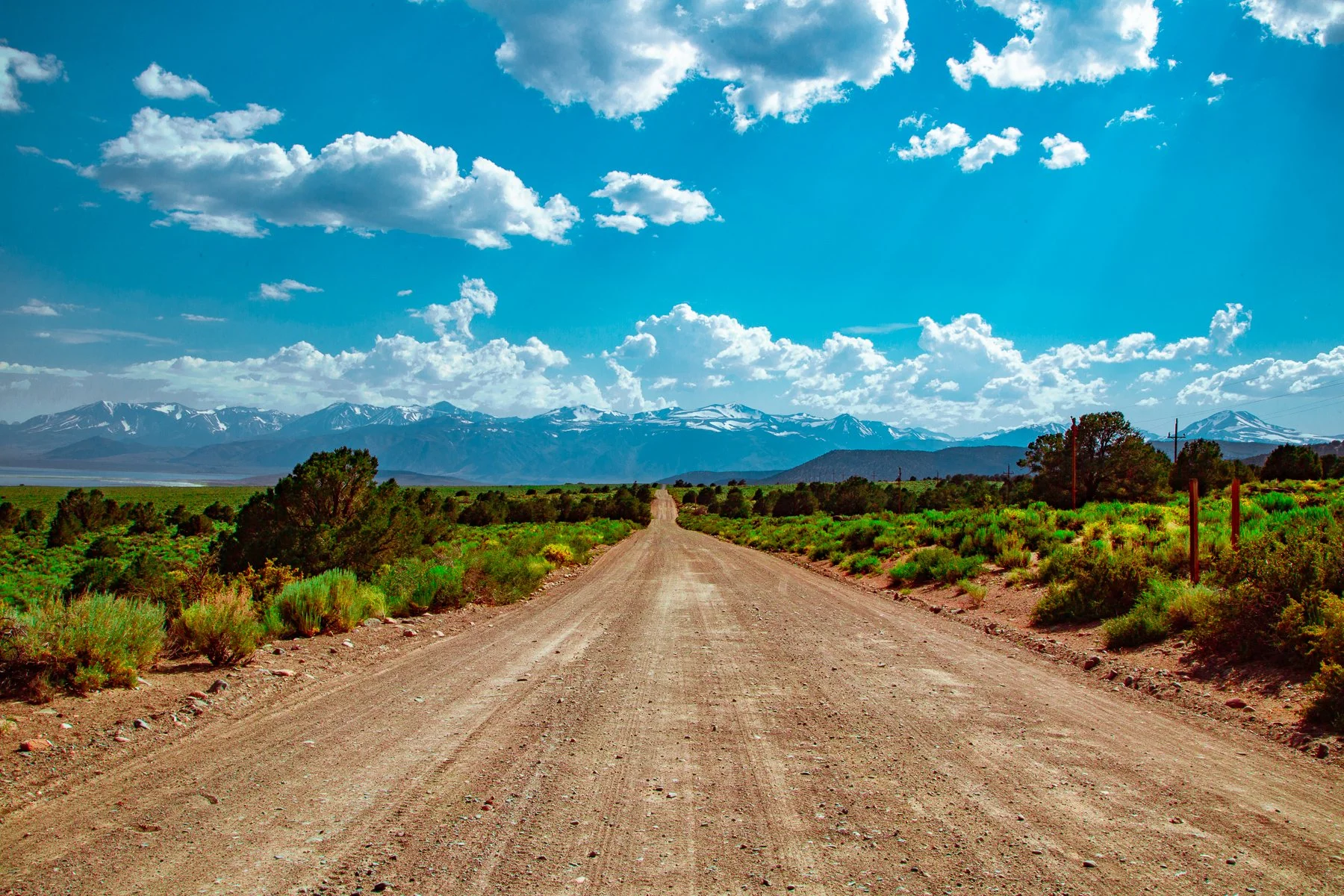Dirt road in a rural landscape with green shrubs and trees, mountains in the distance, and a bright blue sky with scattered clouds.