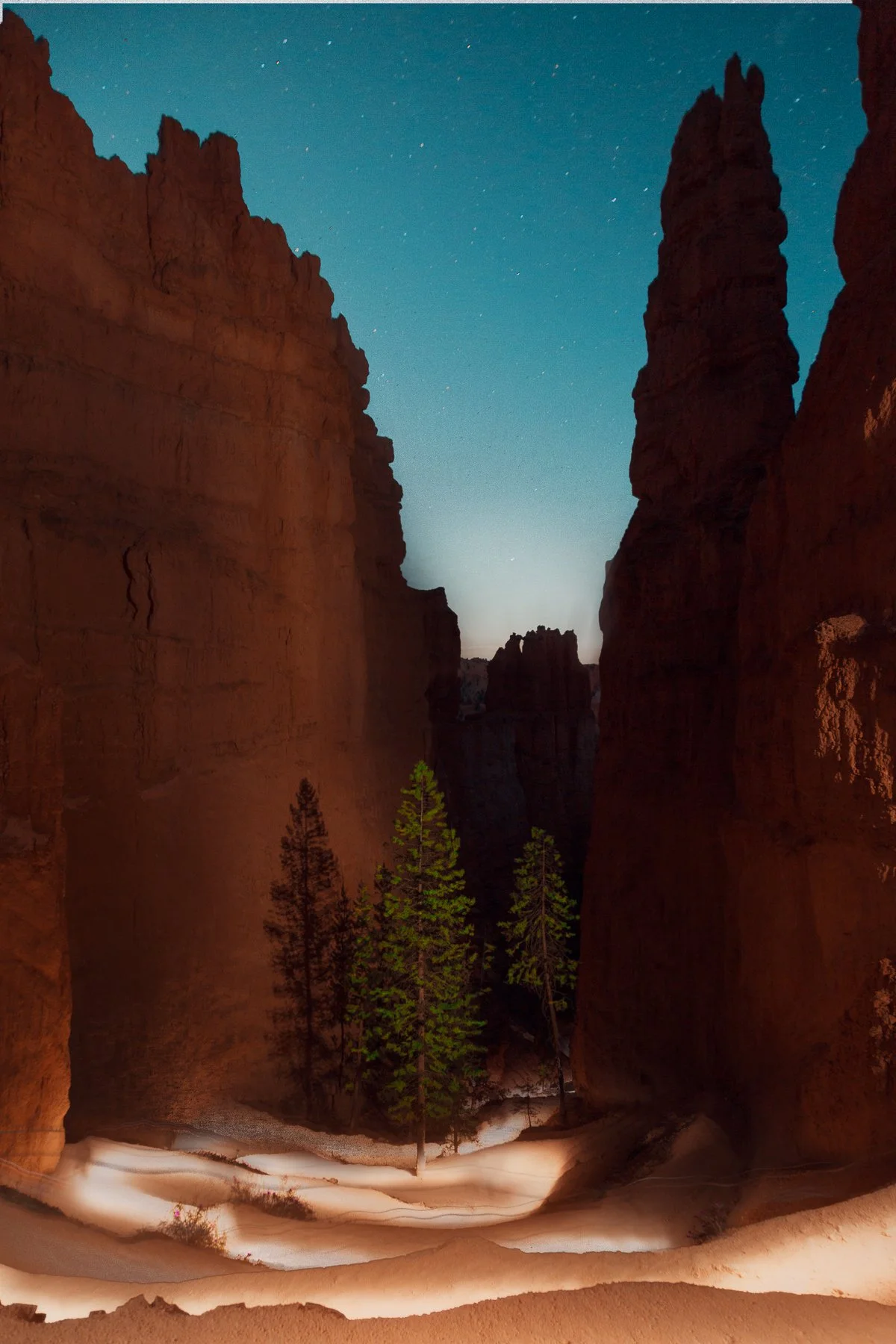 Nighttime view Bryce Canyon with tall rocky cliffs, a starry sky, and pine trees in the foreground.