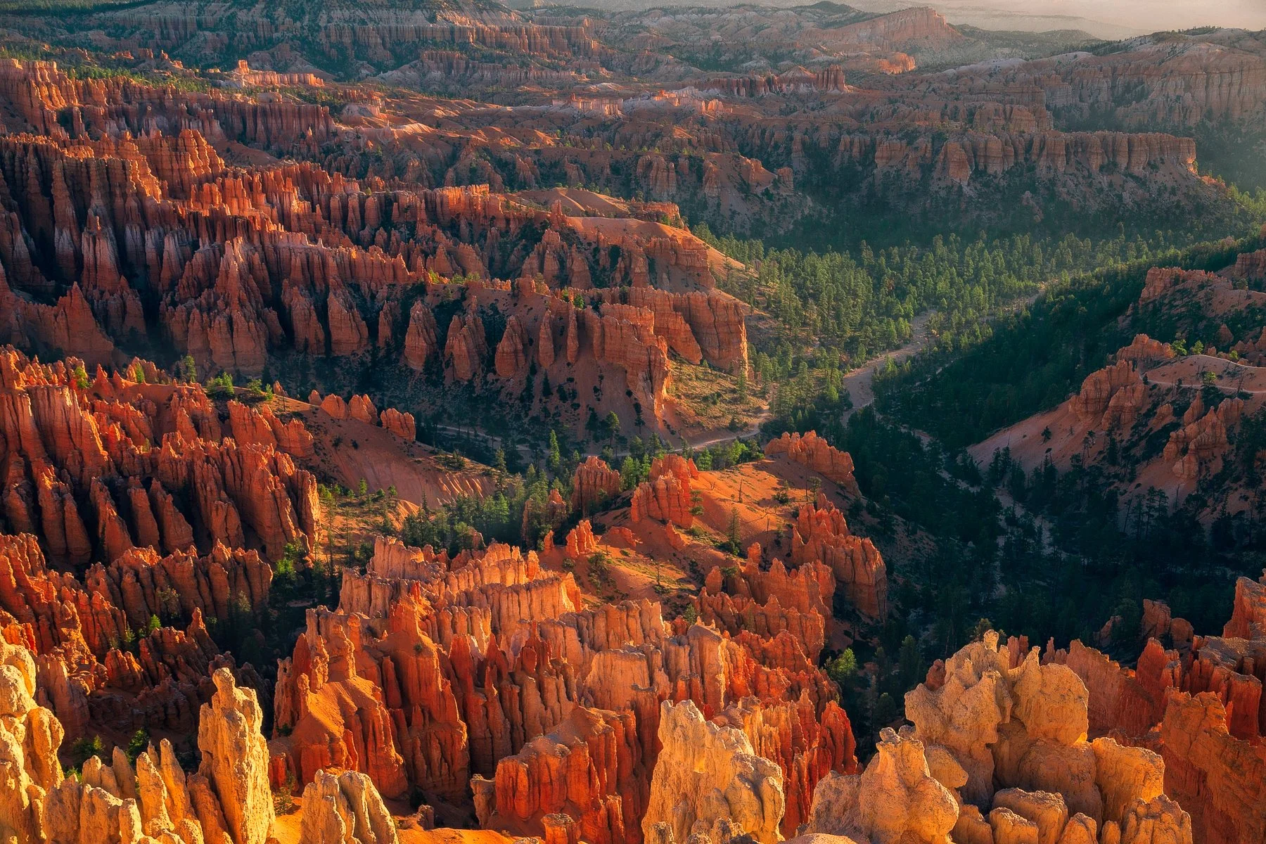 Aerial view of red and orange hoodoos formations at Bryce Canyon National Park in Utah, with green trees and a winding trail visible.