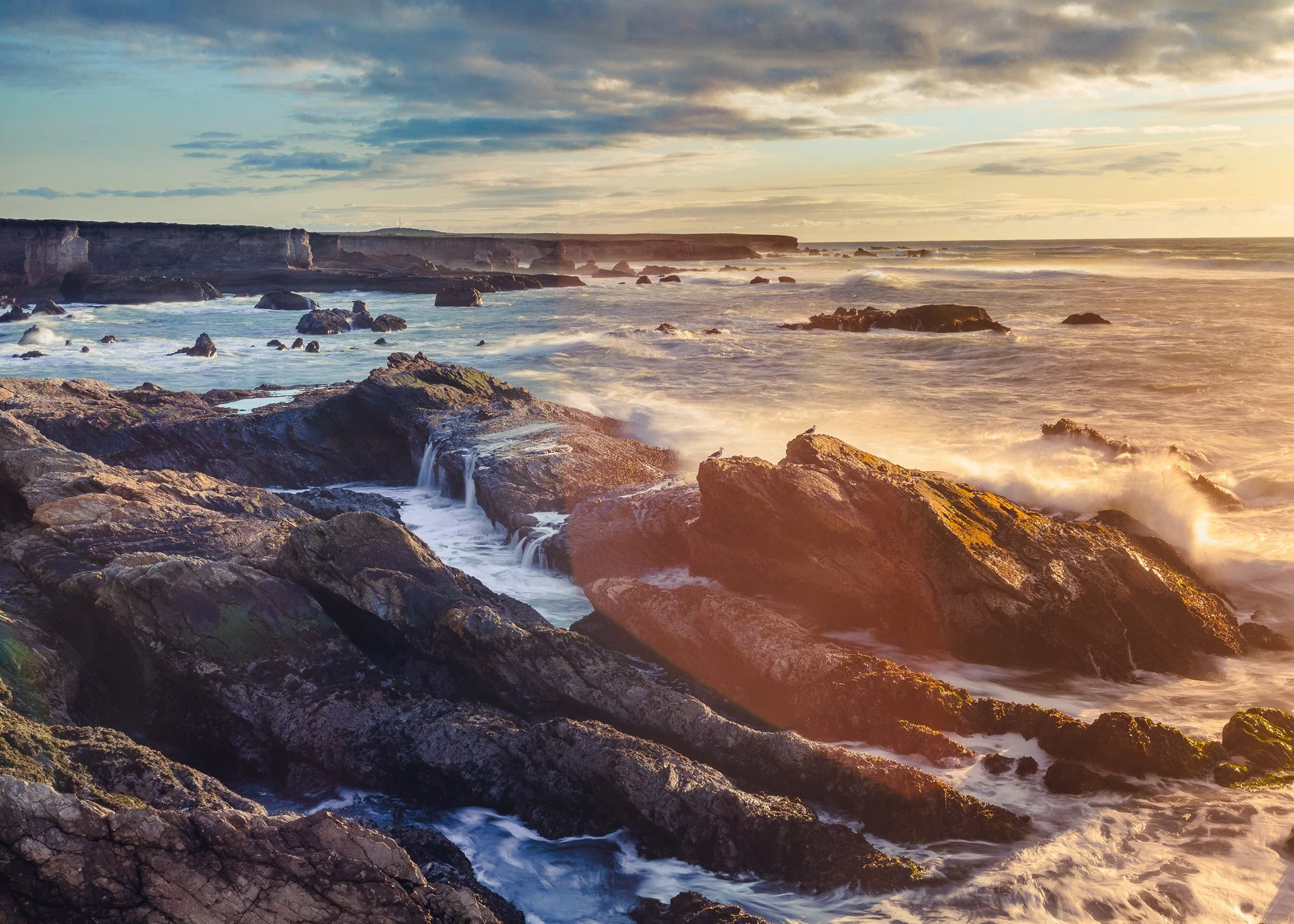 Sunset over Montana de Oro's rocky coastline with waves crashing against the rocks and seagulls perched on rocks, under a partly cloudy sky.