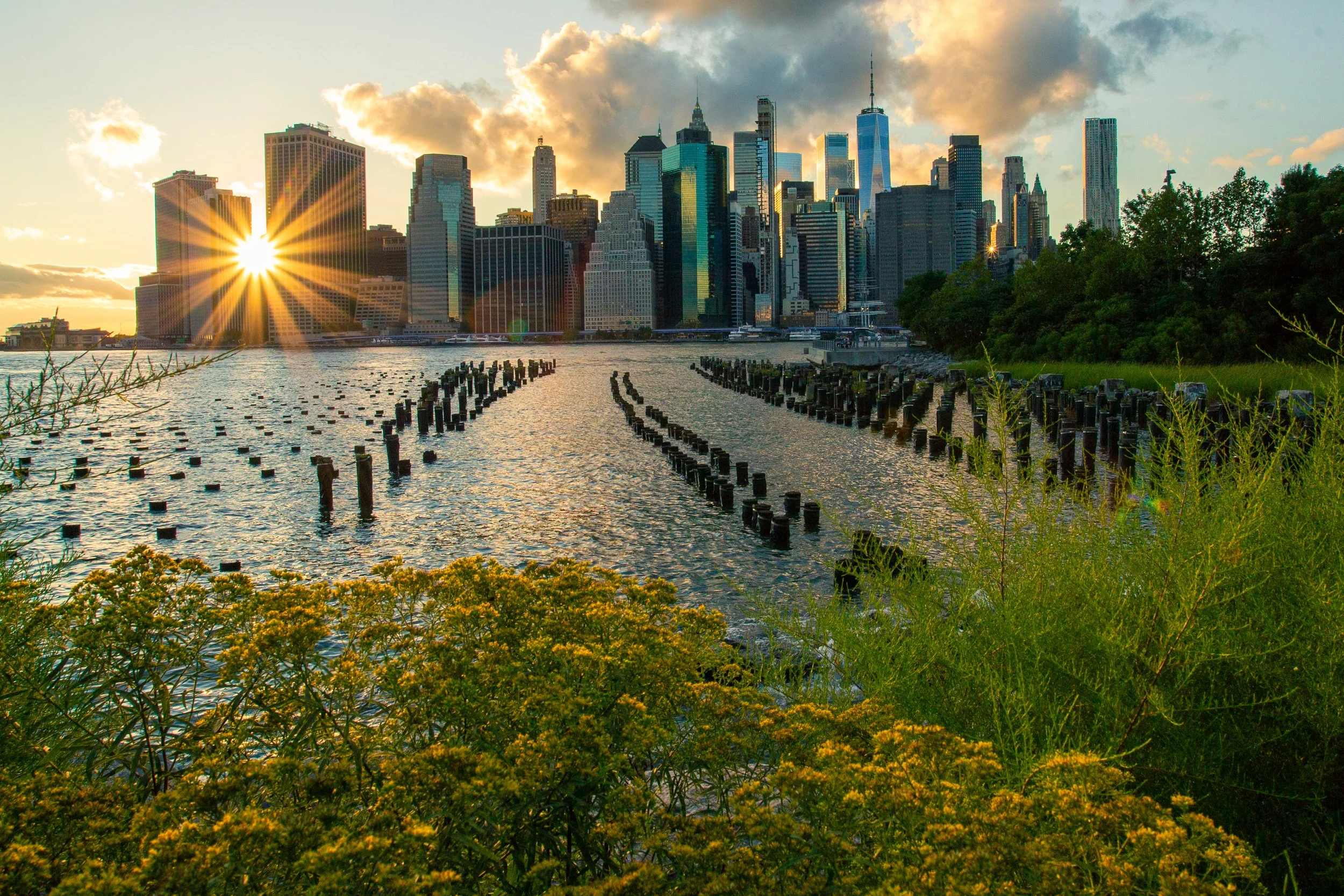 New York City skyline at sunset viewed from a park with water and wooden pilings in the foreground.