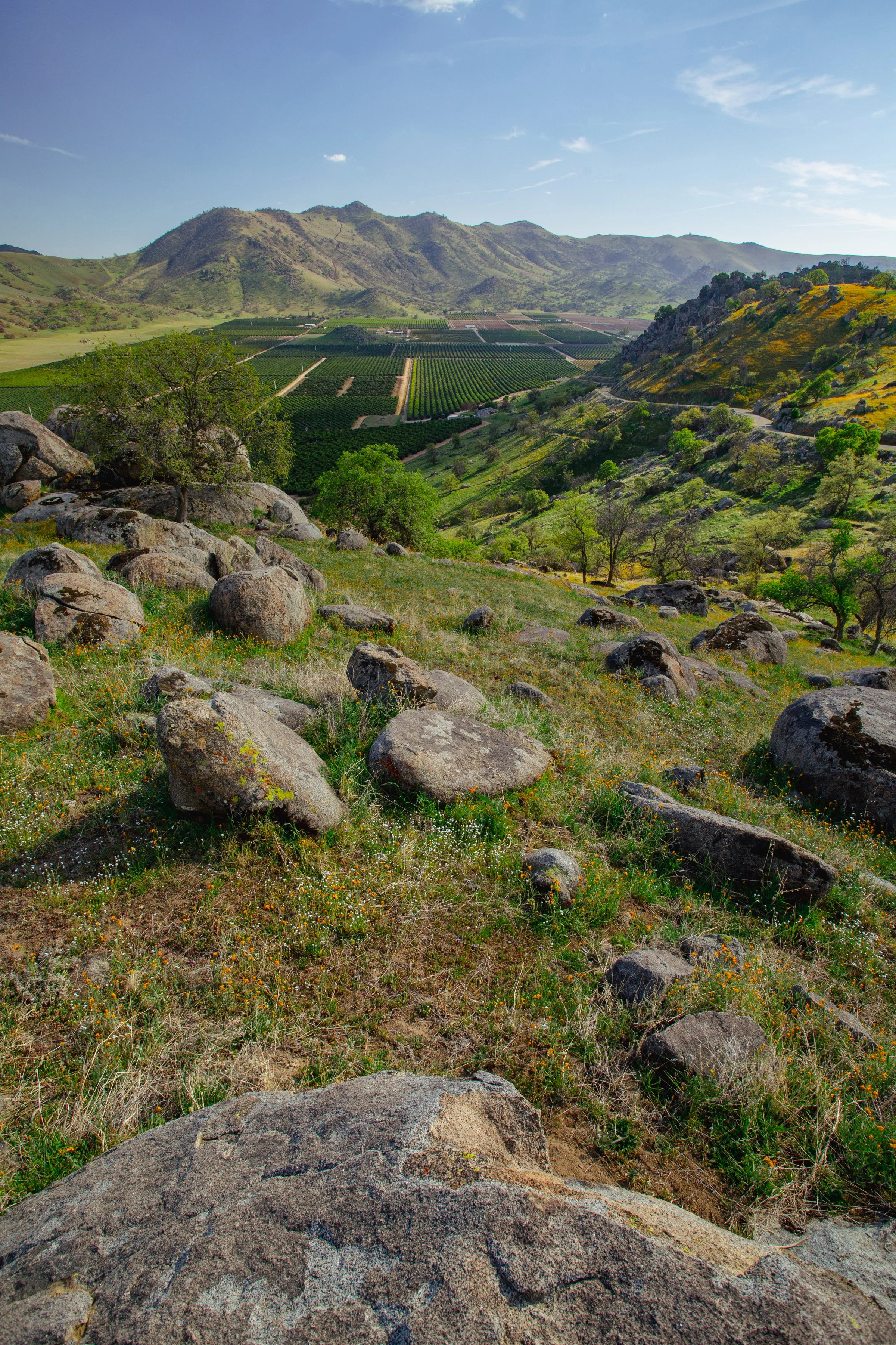 Scenic view of rolling hills with rocks, trees, and a distant farmland under a bright blue sky.