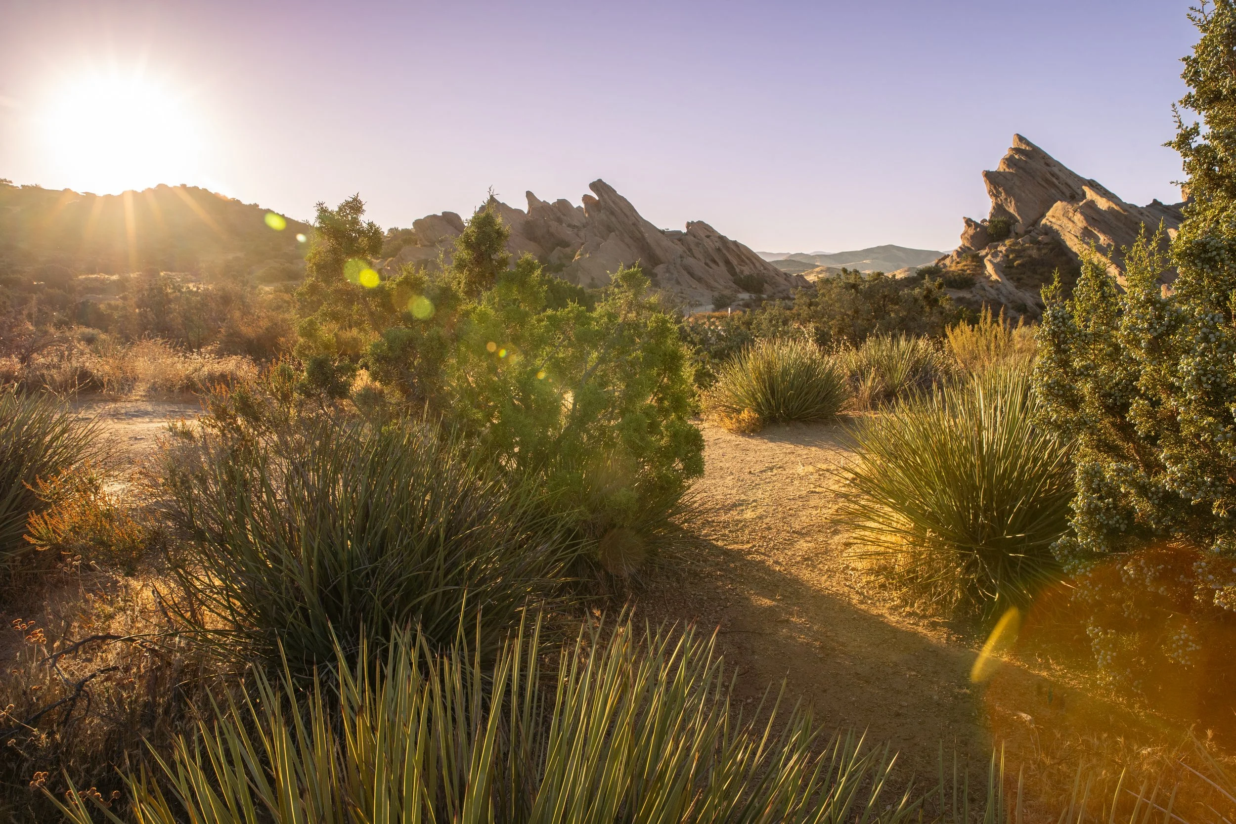 Sunset over a desert landscape with spiky vegetation and rocky formations in the distance.