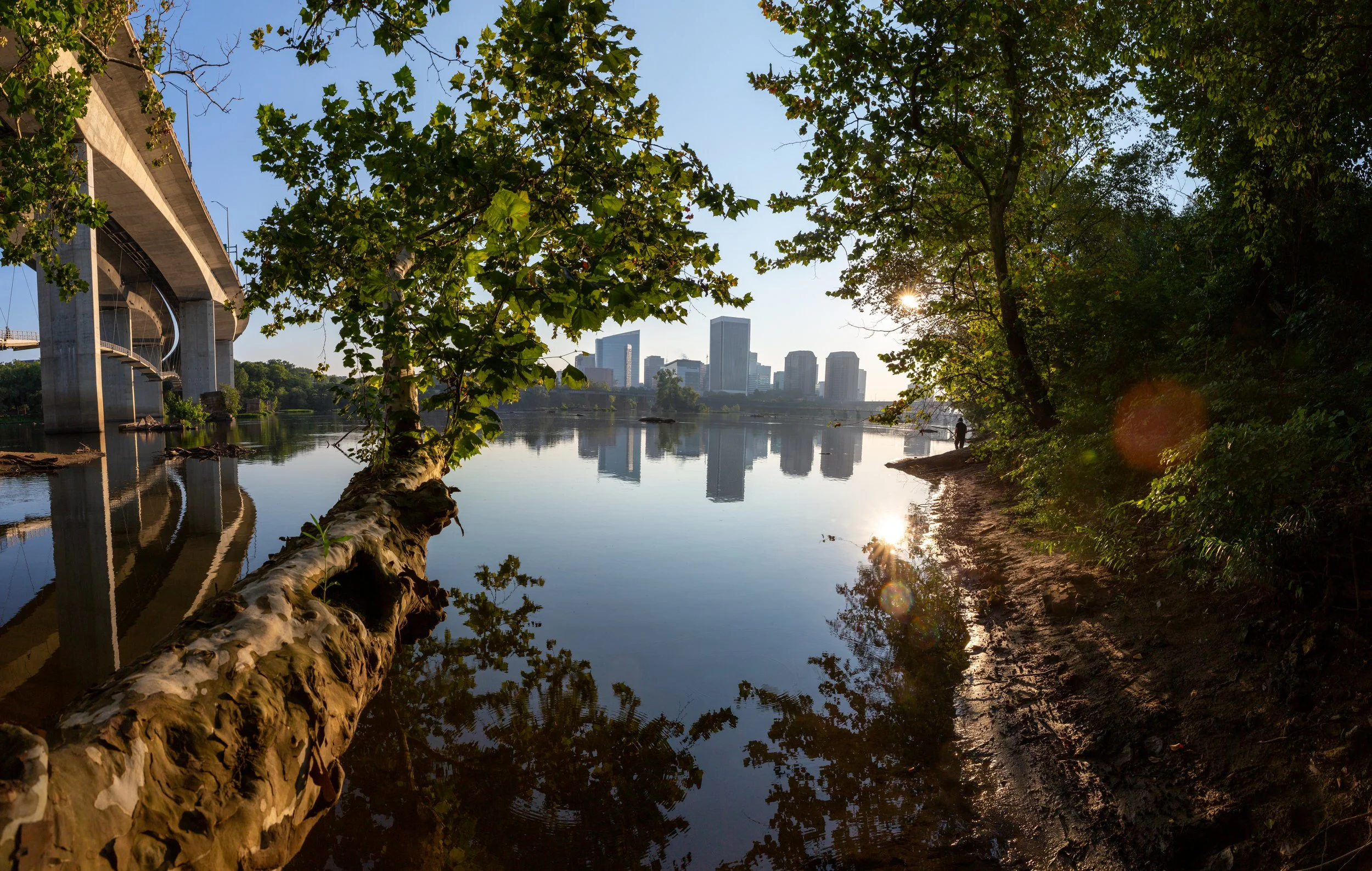 A calm river with a fallen tree, surrounded by trees on both sides, reflecting a city skyline with tall buildings in the background, during sunset with sunlight and lens flares.