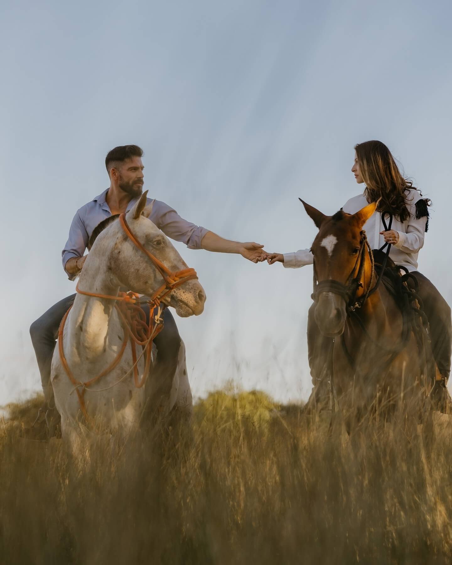 A man and woman riding horses in a field, reaching out to hold hands.