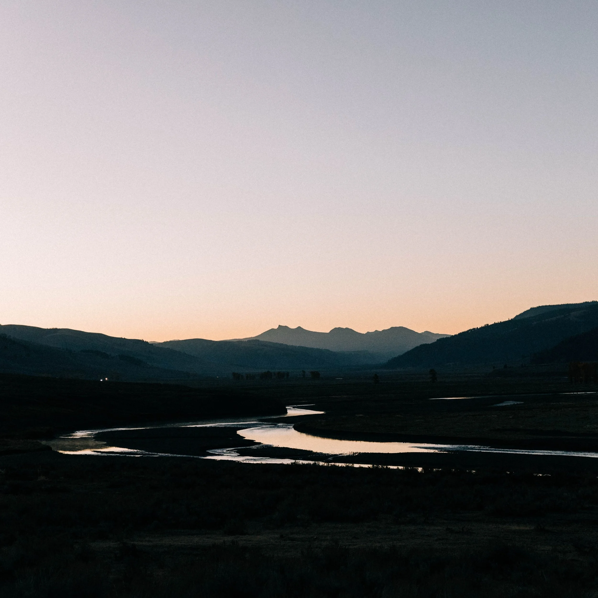 This time last year, we were in Yellowstone.

Cold mornings, long drives, and stopping every fifteen minutes because someone had spotted a bear, a goat, a wolf, some other random creature worth gawking at. 

And we saw bison. A lot of bison. Enough b