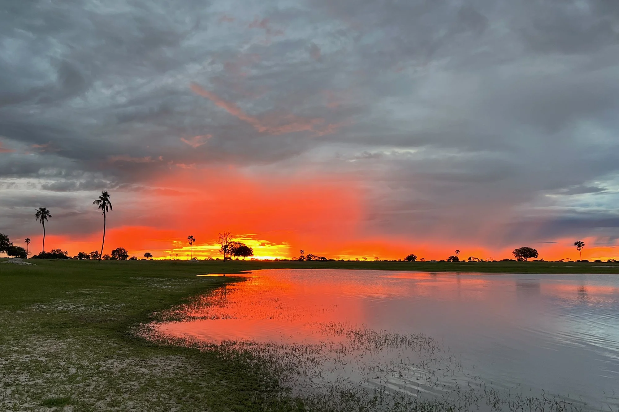 SUNSET in HWANGE NATIONAL PARK