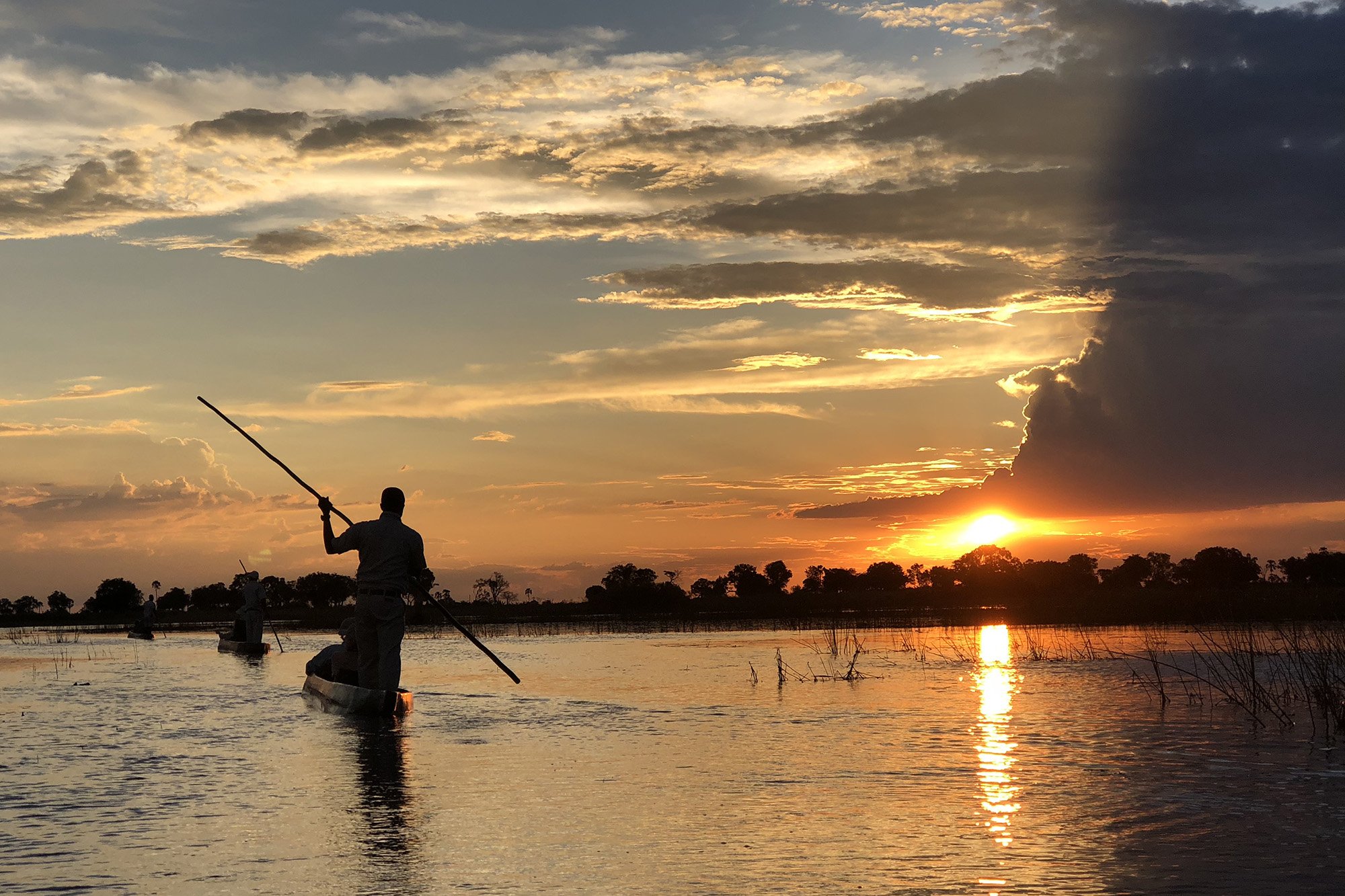 Mokoro in Okavango Delta