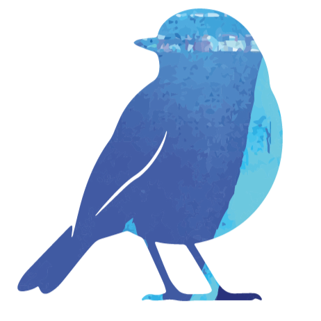 A blue bird, contemplating life
