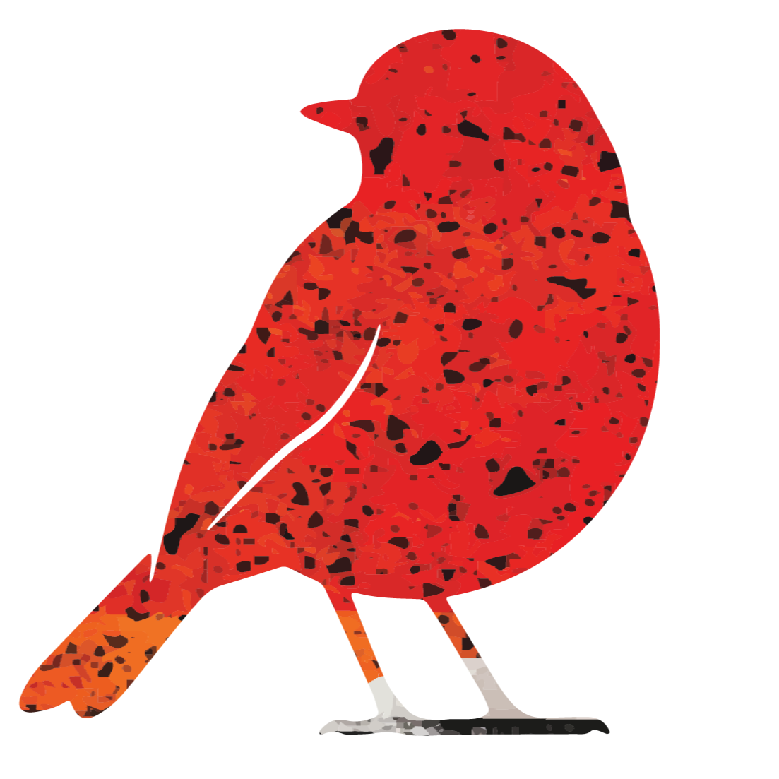 A red robin with black spots, facing to the left looking back.