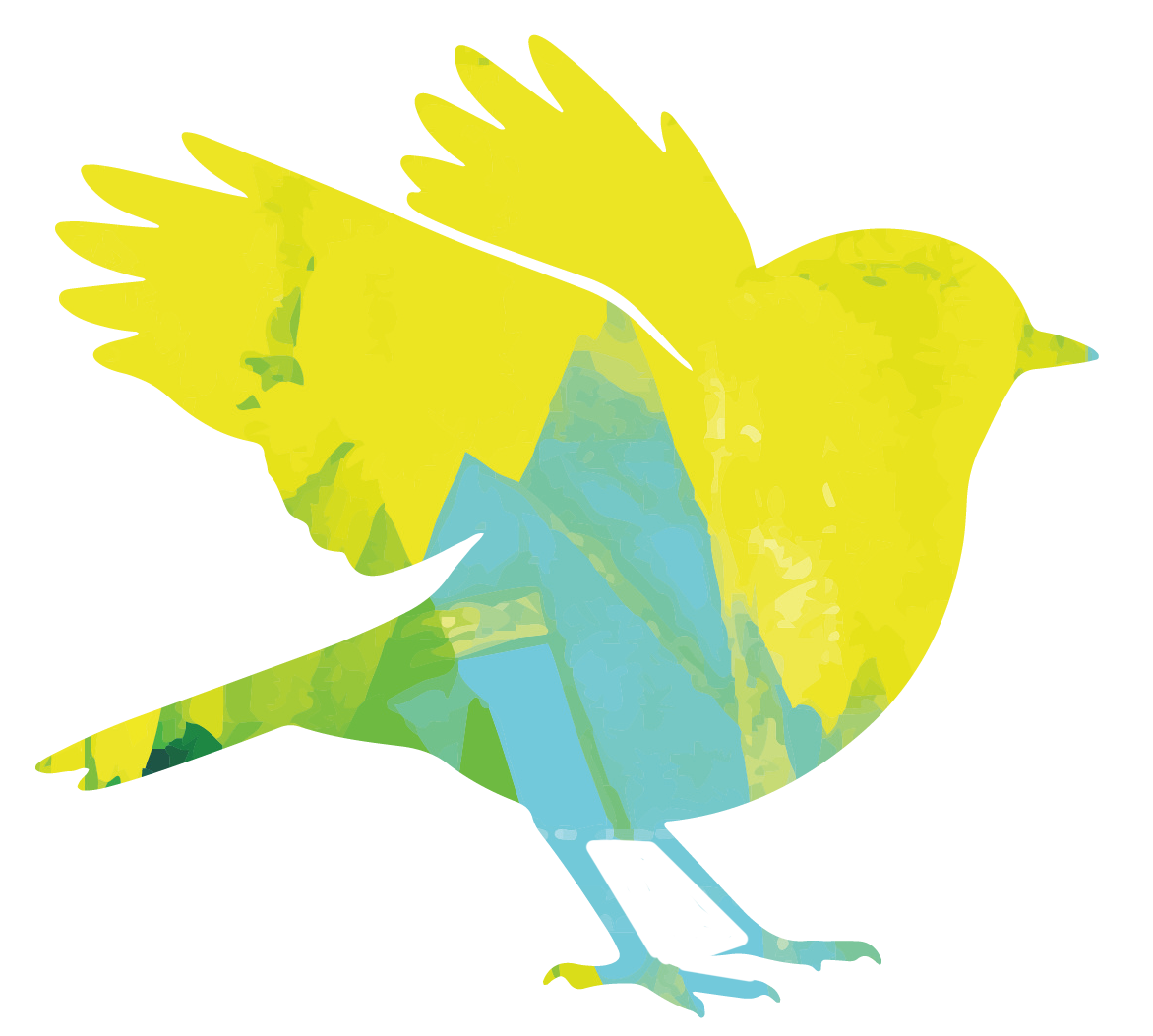 Collage of a yellow robin  with a black beak and a phone in its foot, depicted with a watercolor style signifying movement and change