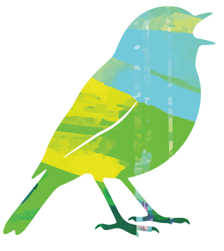 Digital bird collage with colorful geometric patterns.